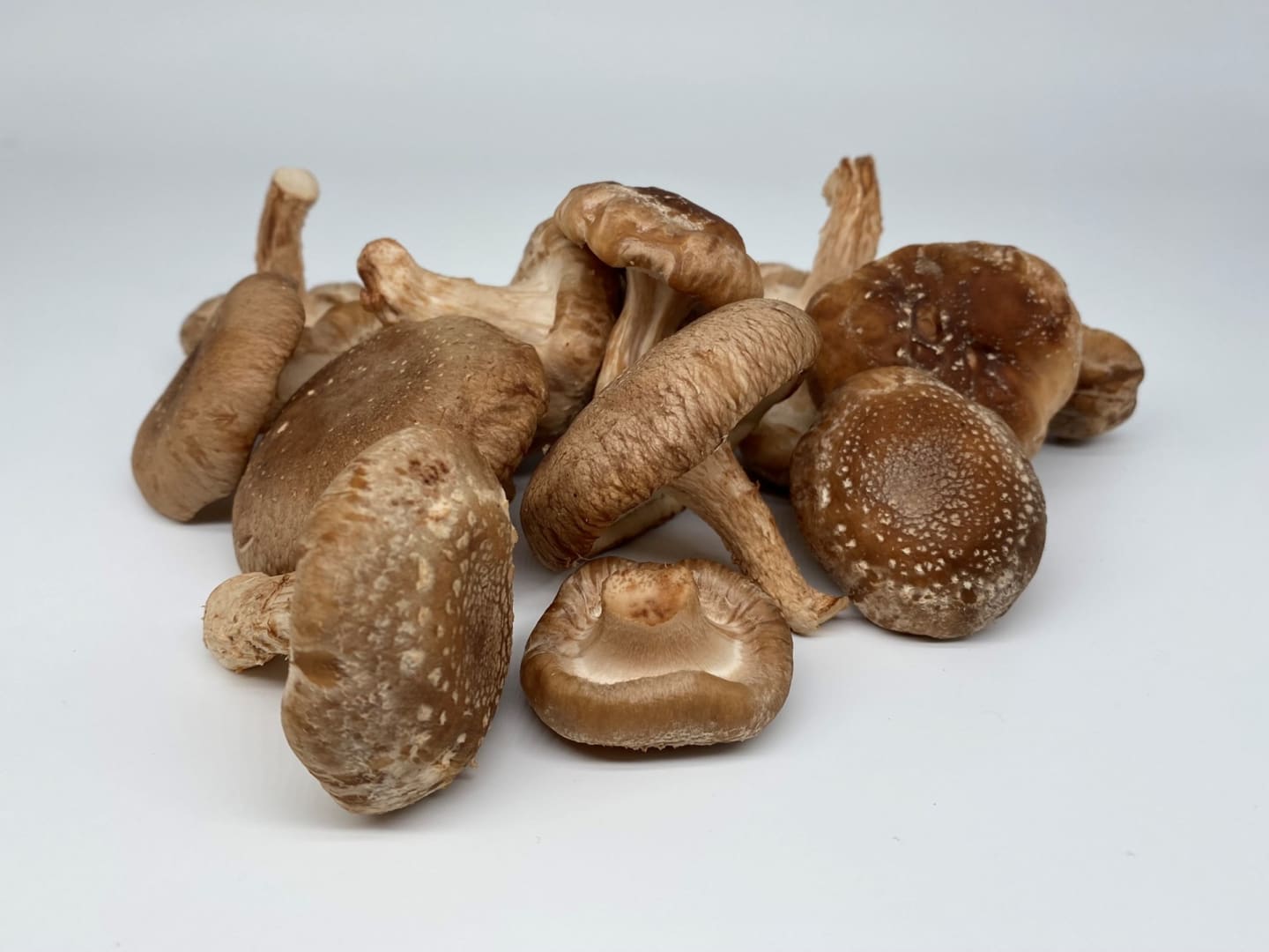 Shiitake SE
