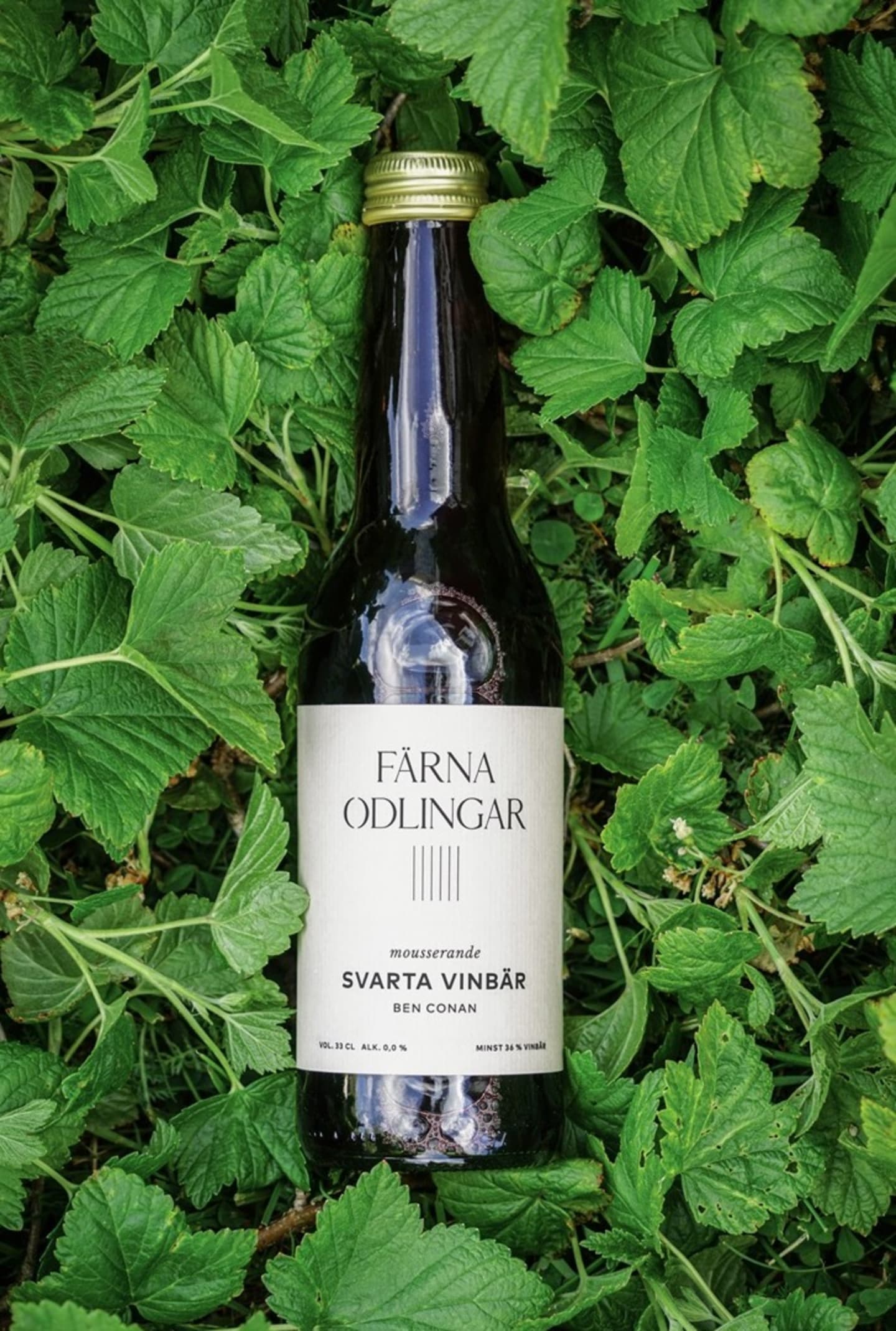Svartvinbärsdyck mousserande 0% 33cl - Bild 1 av 2