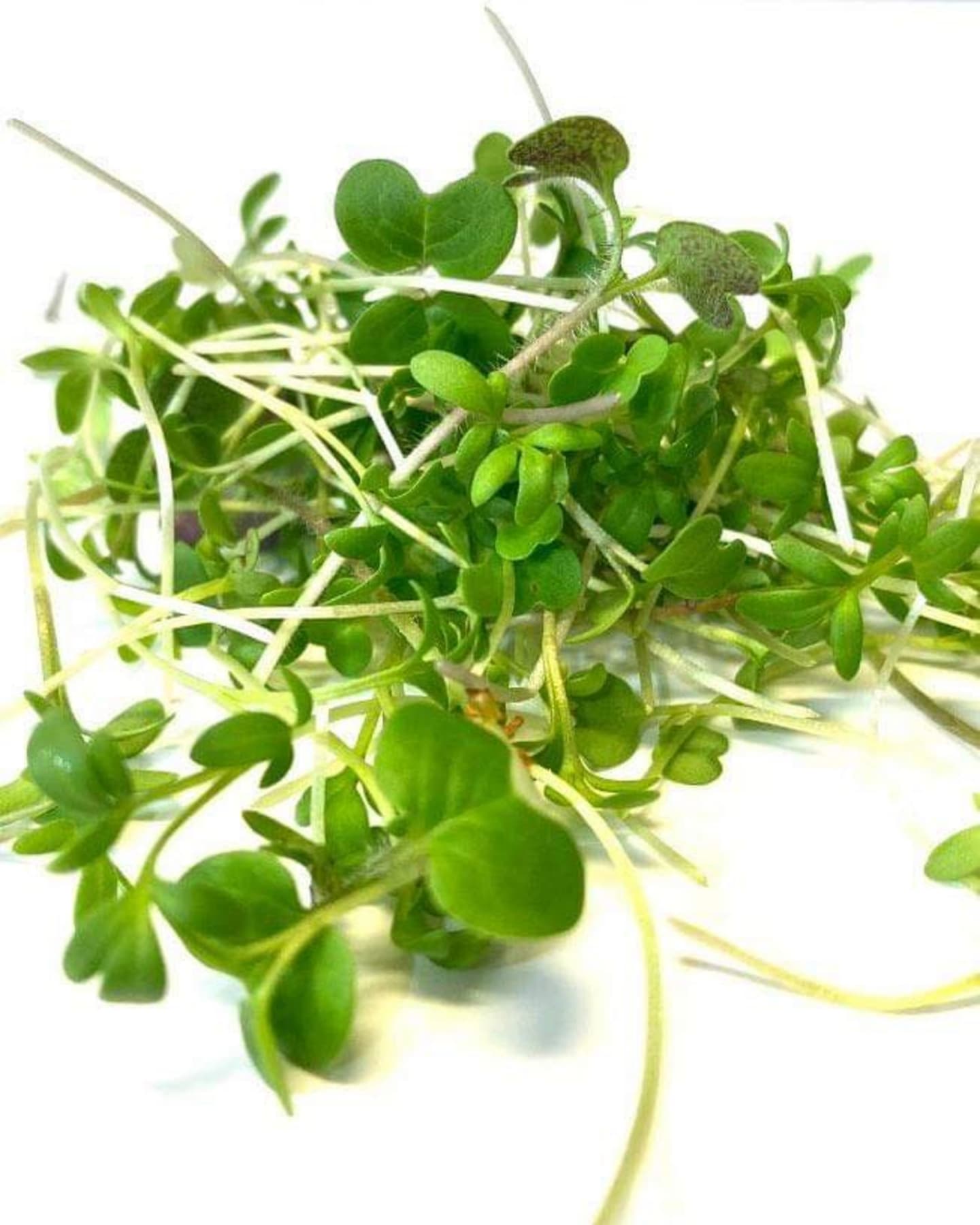 Mixkrasse späd 45g