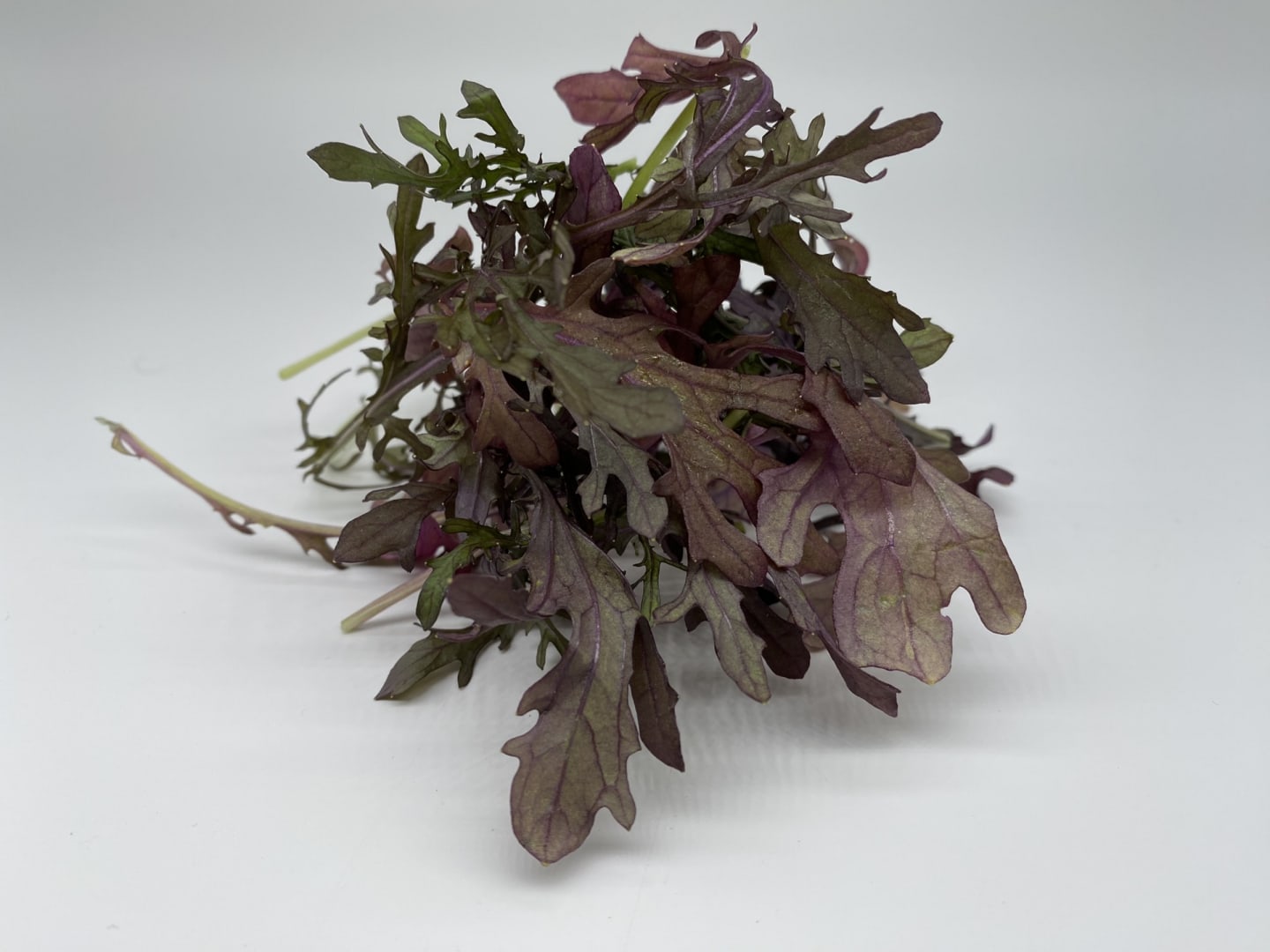 Sallad Mizuna Röd 500g