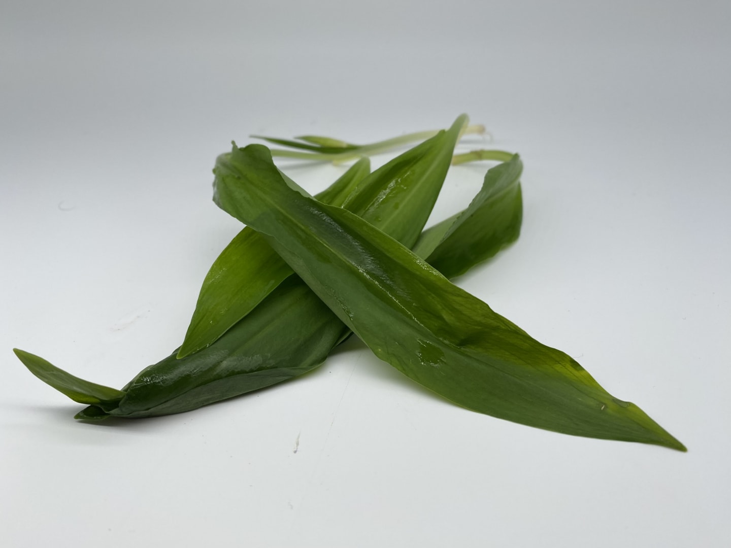 Ramslök 500g