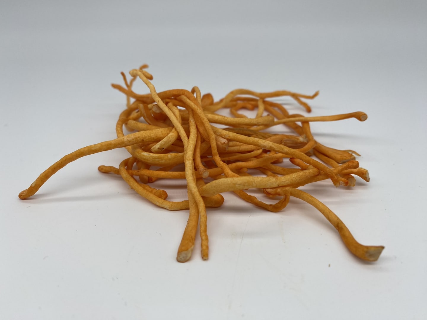 Cordycepssvamp 250g