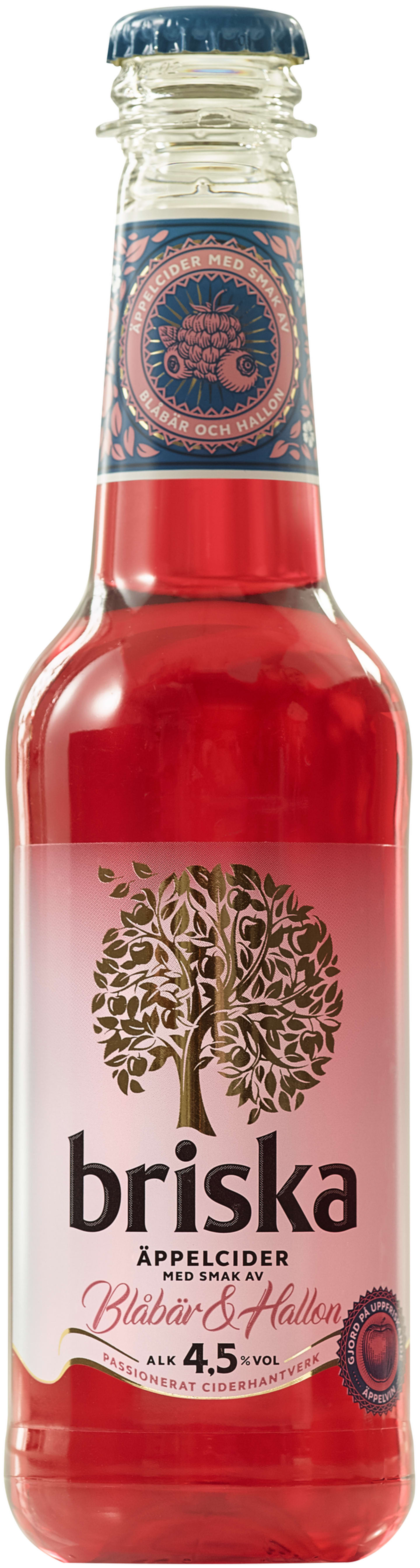 Briska Blåbär Hallon PET 33cl