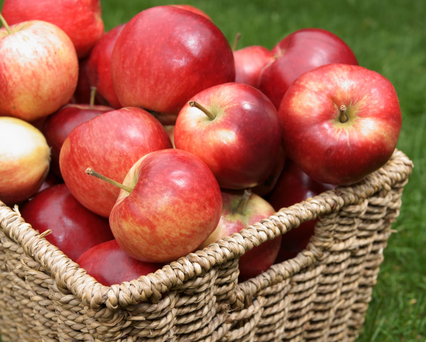 Äpple Discovery