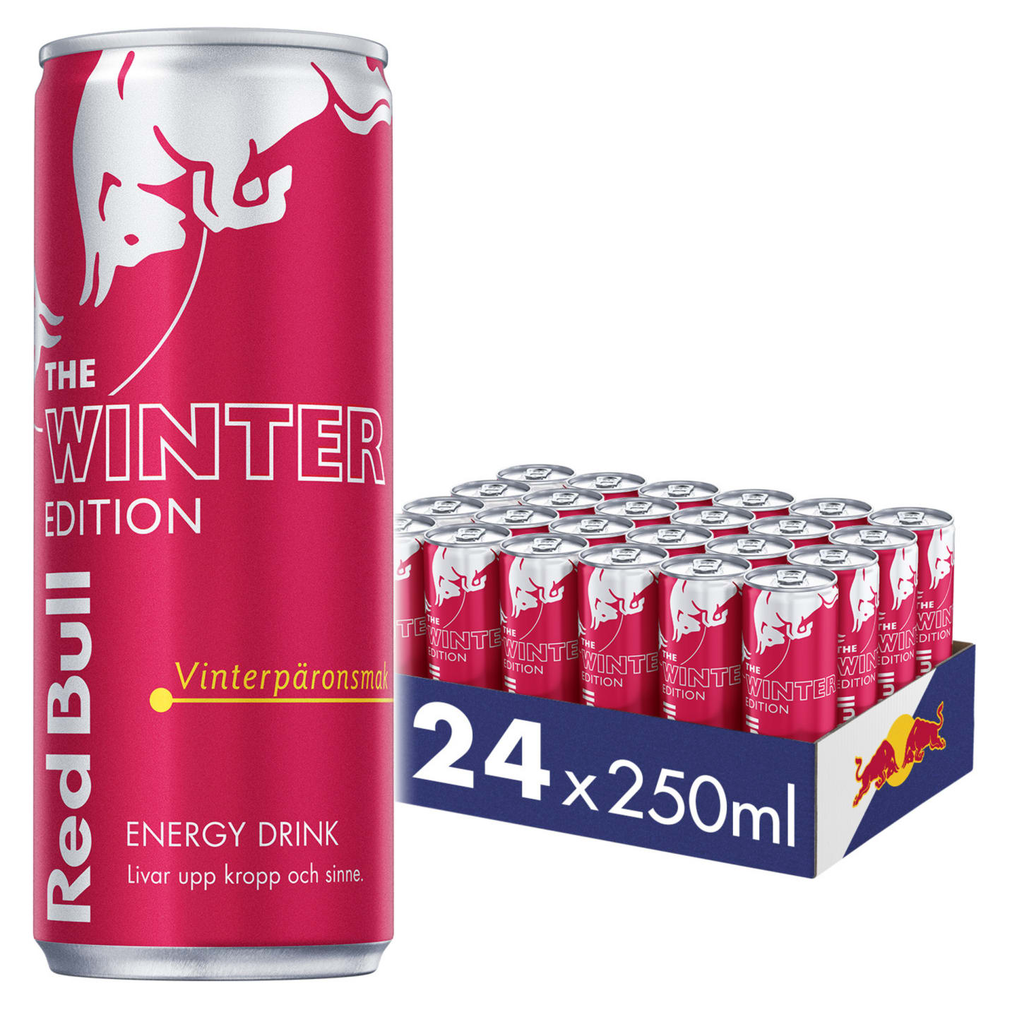 Red Bull Winter Edition 25cl - Bild 1 av 1