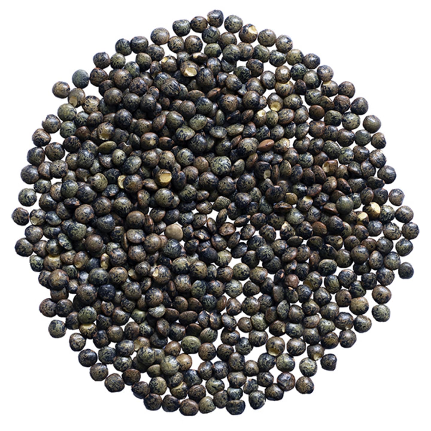 Grön Lins Anicia 2,5kg