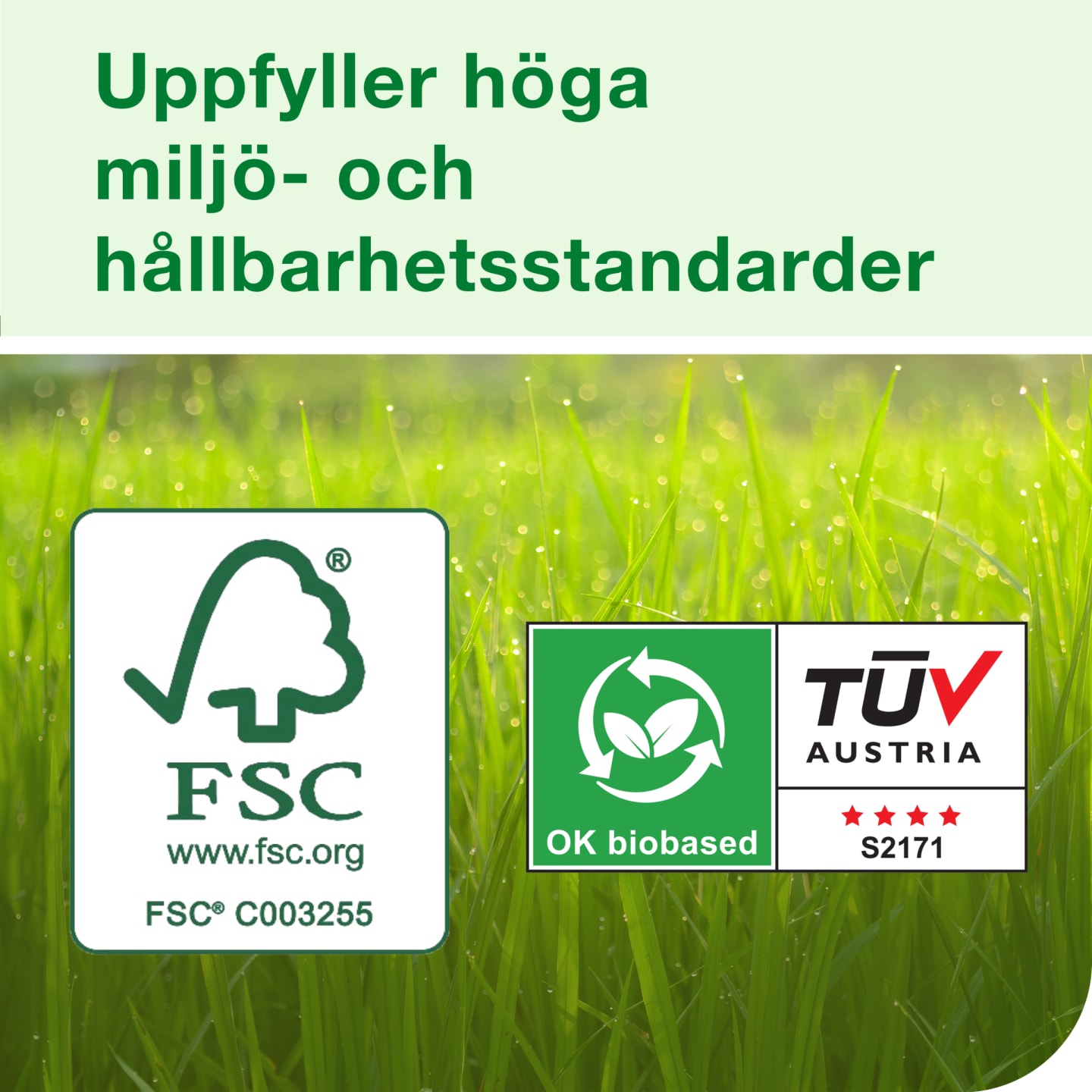 Tork Rengöringsduk Slitstark W4 - Bild 1 av 4