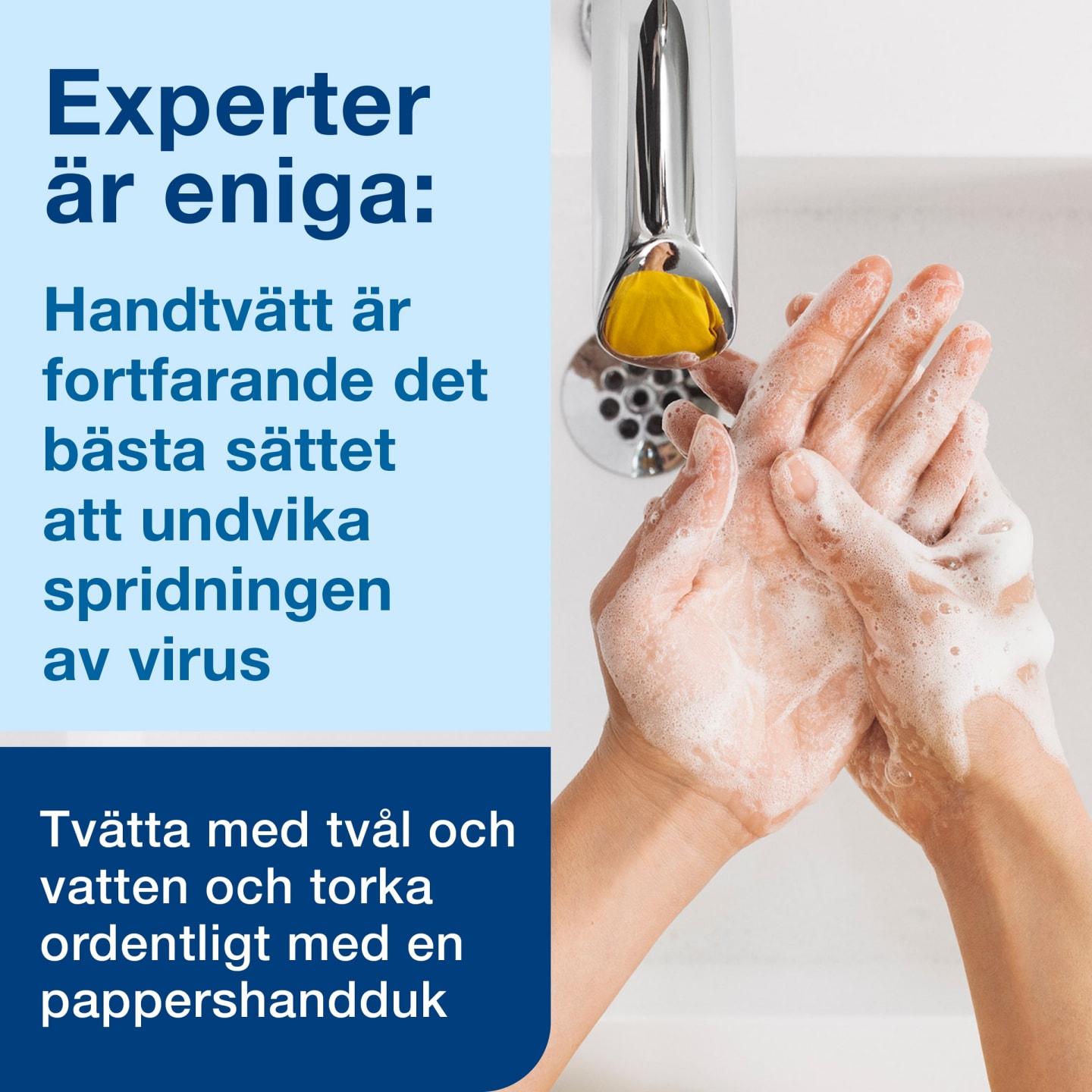 Skumtvål Exklusiv Tork S3 - Bild 1 av 4