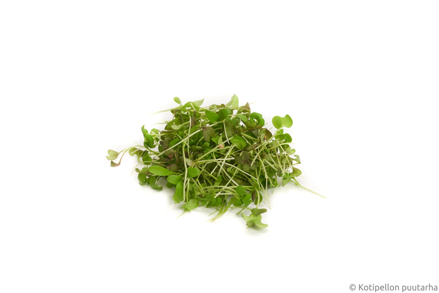 Sallad Asienmix 70g