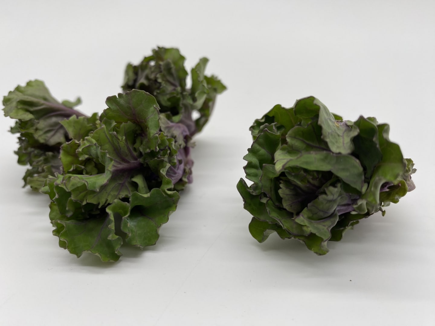 Flowersprout 150g