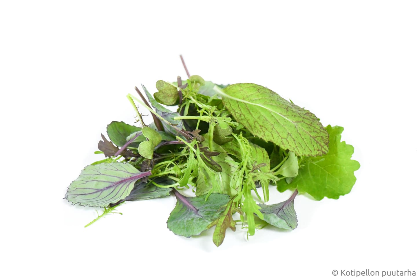 Sallad Kål- senapmix 50g