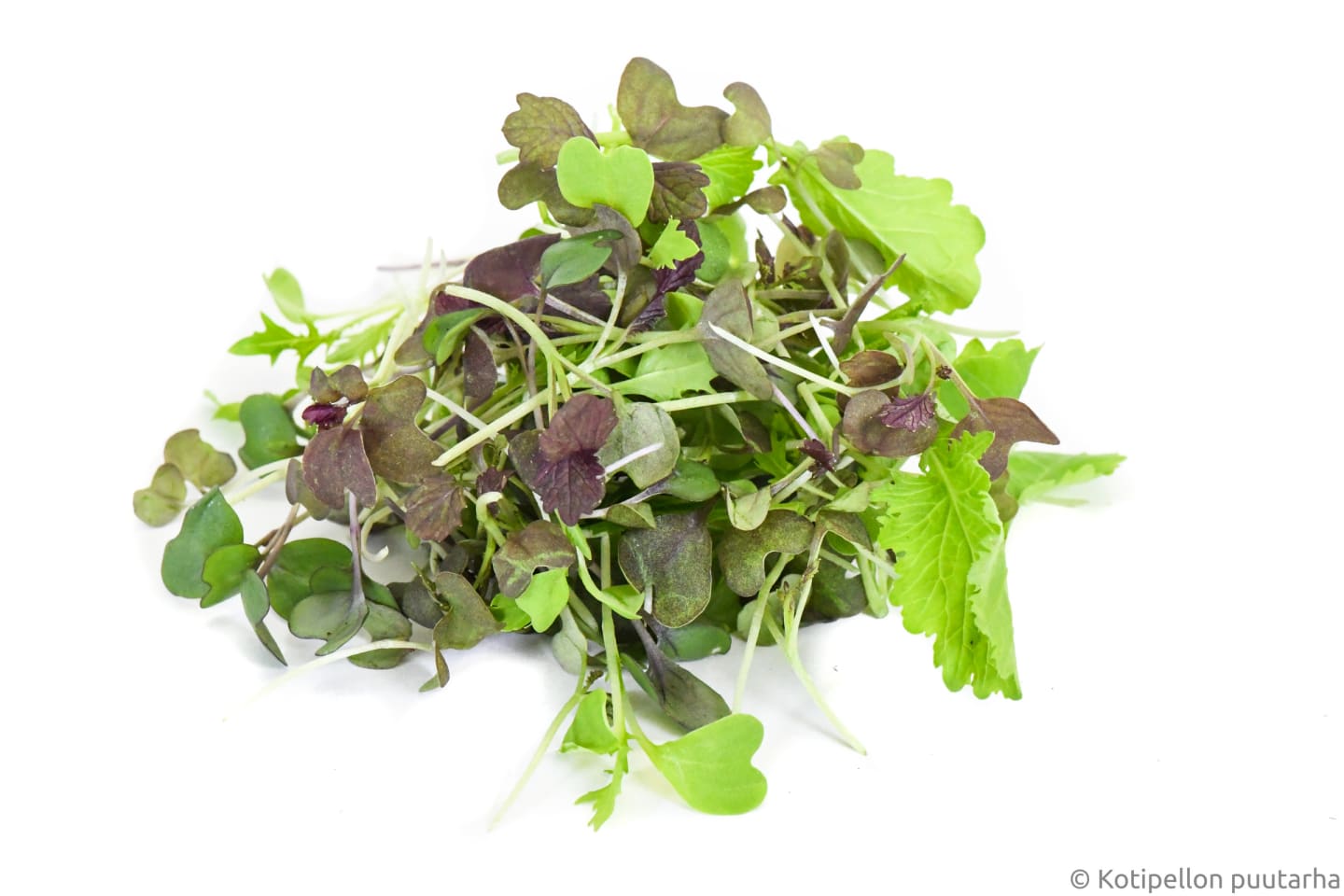 Sallad Specialmix 70g