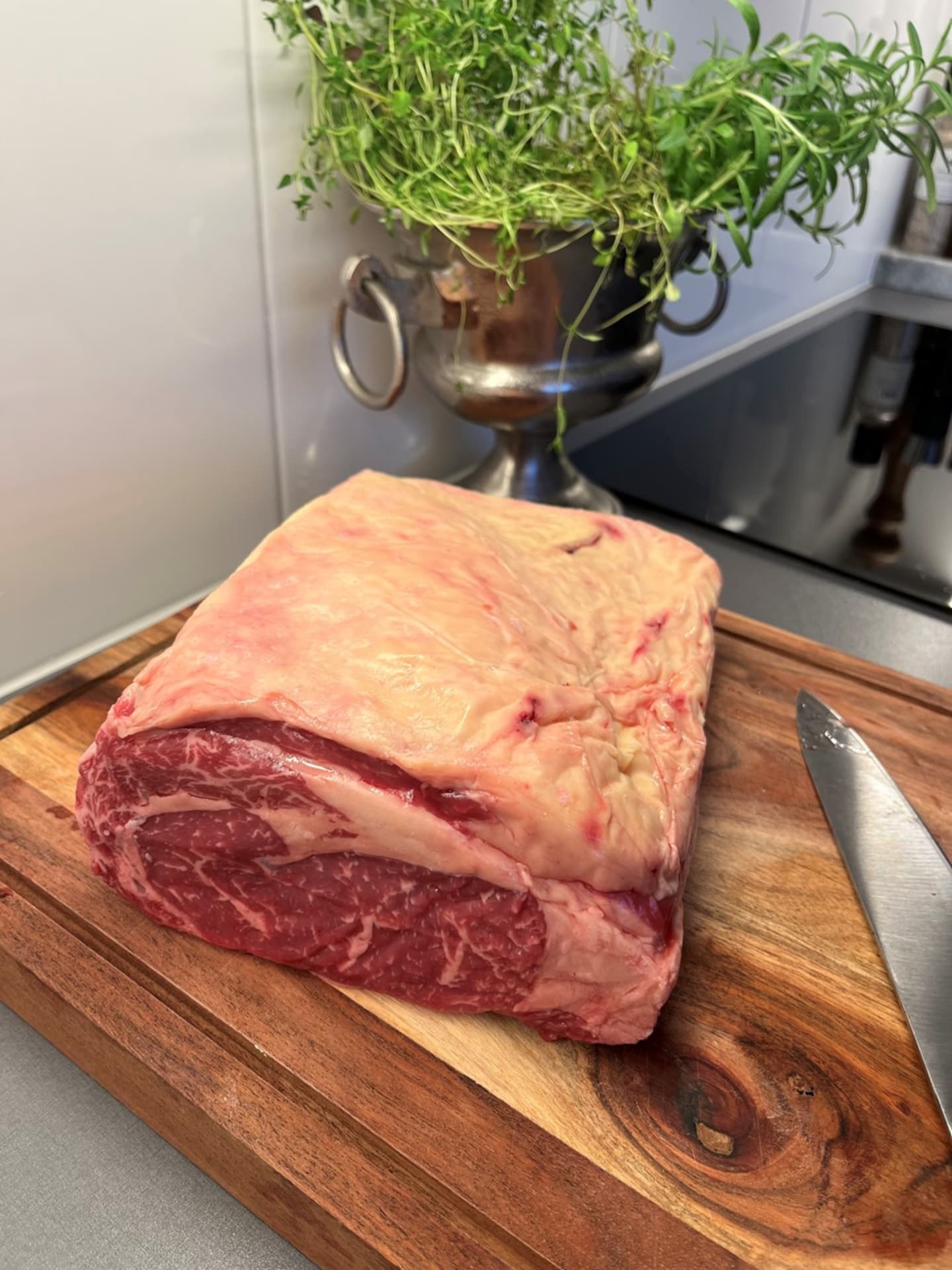 Biff med kappa kort klass 4 4kg
