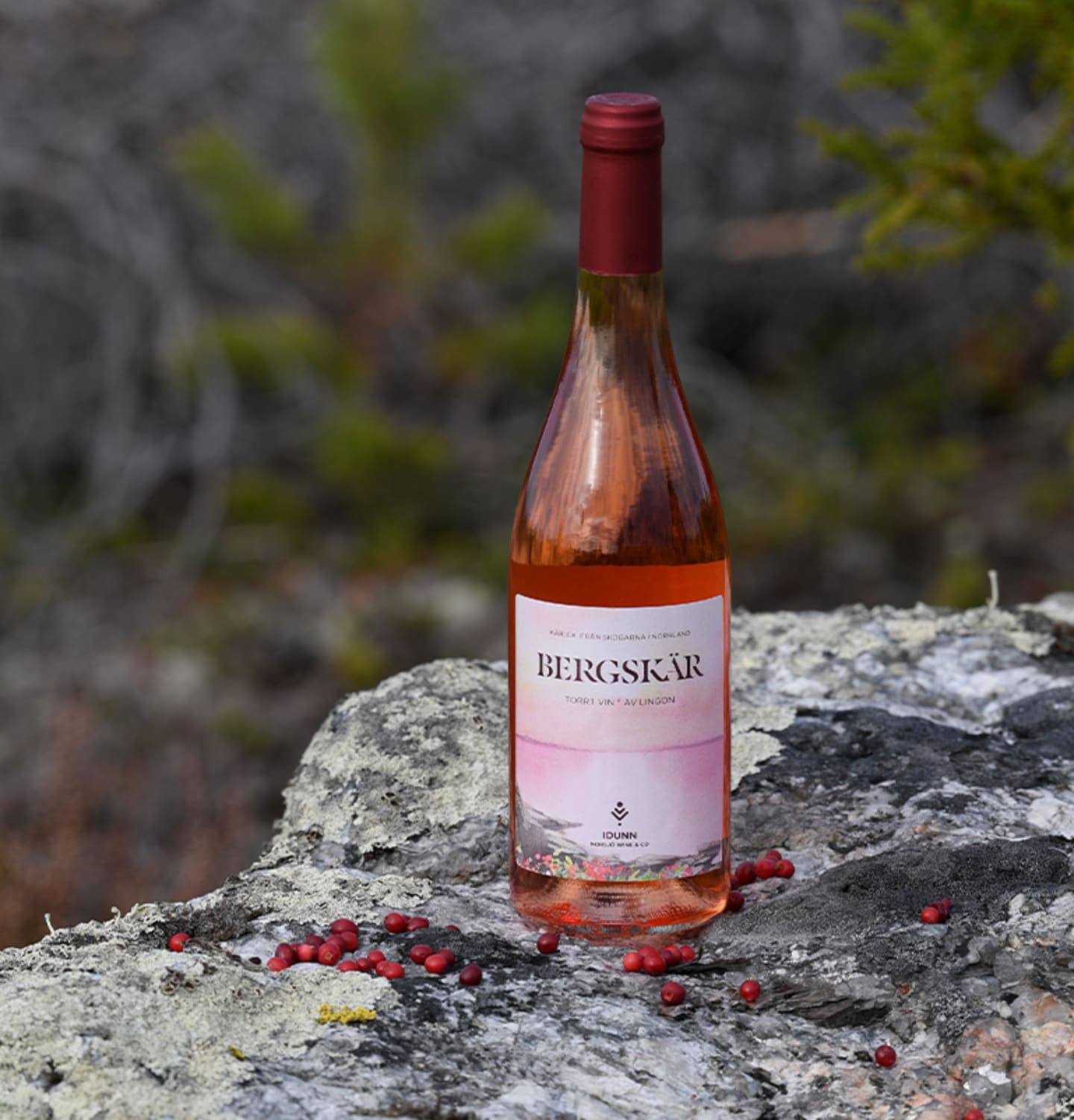 Bergskär Vin Lingon 75cl - Bild 1 av 2