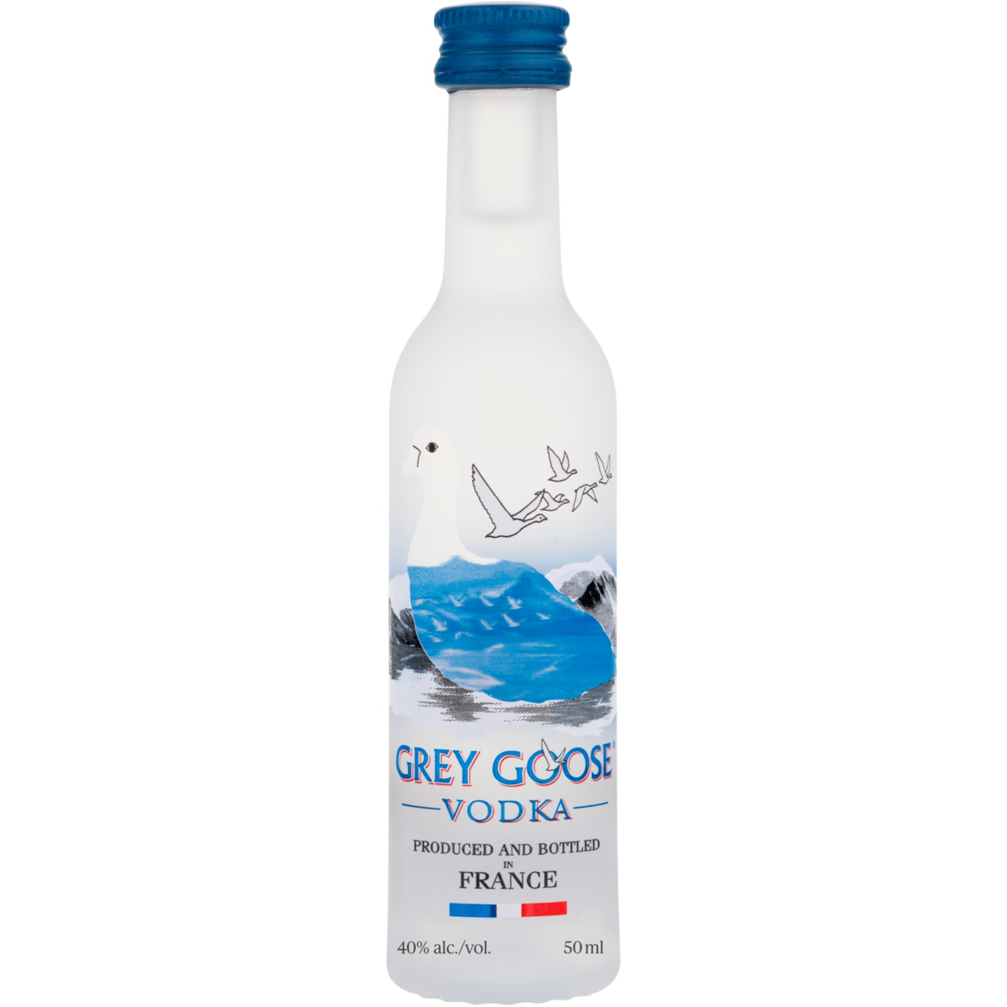 Grey Goose Vodka 12x5cl