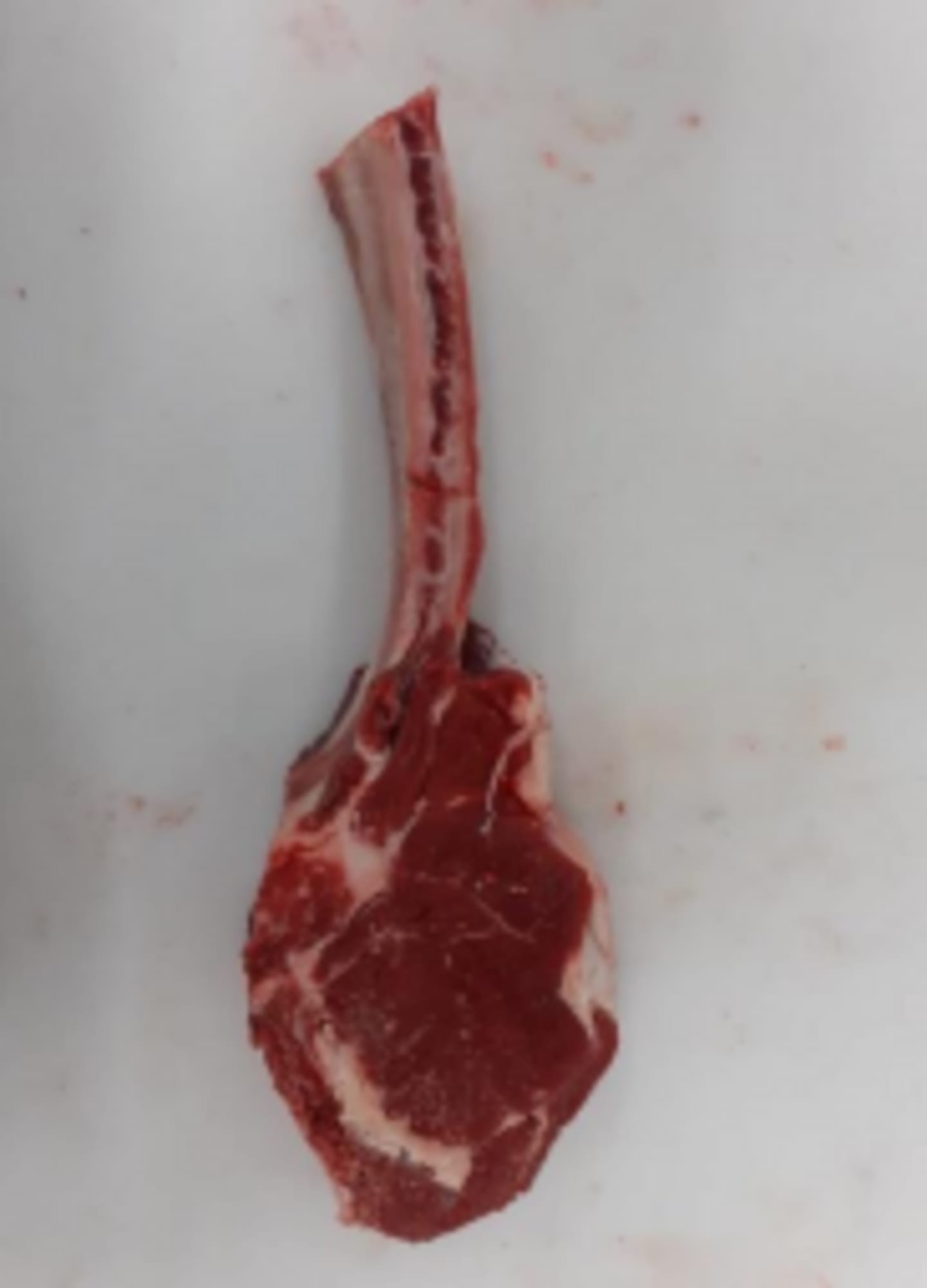 Tomahawk 10,5kg