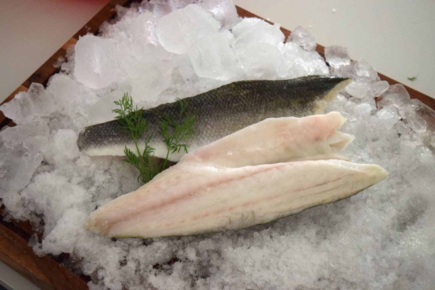 Guldsparid Seabream msk ASC 120-160g/5kg