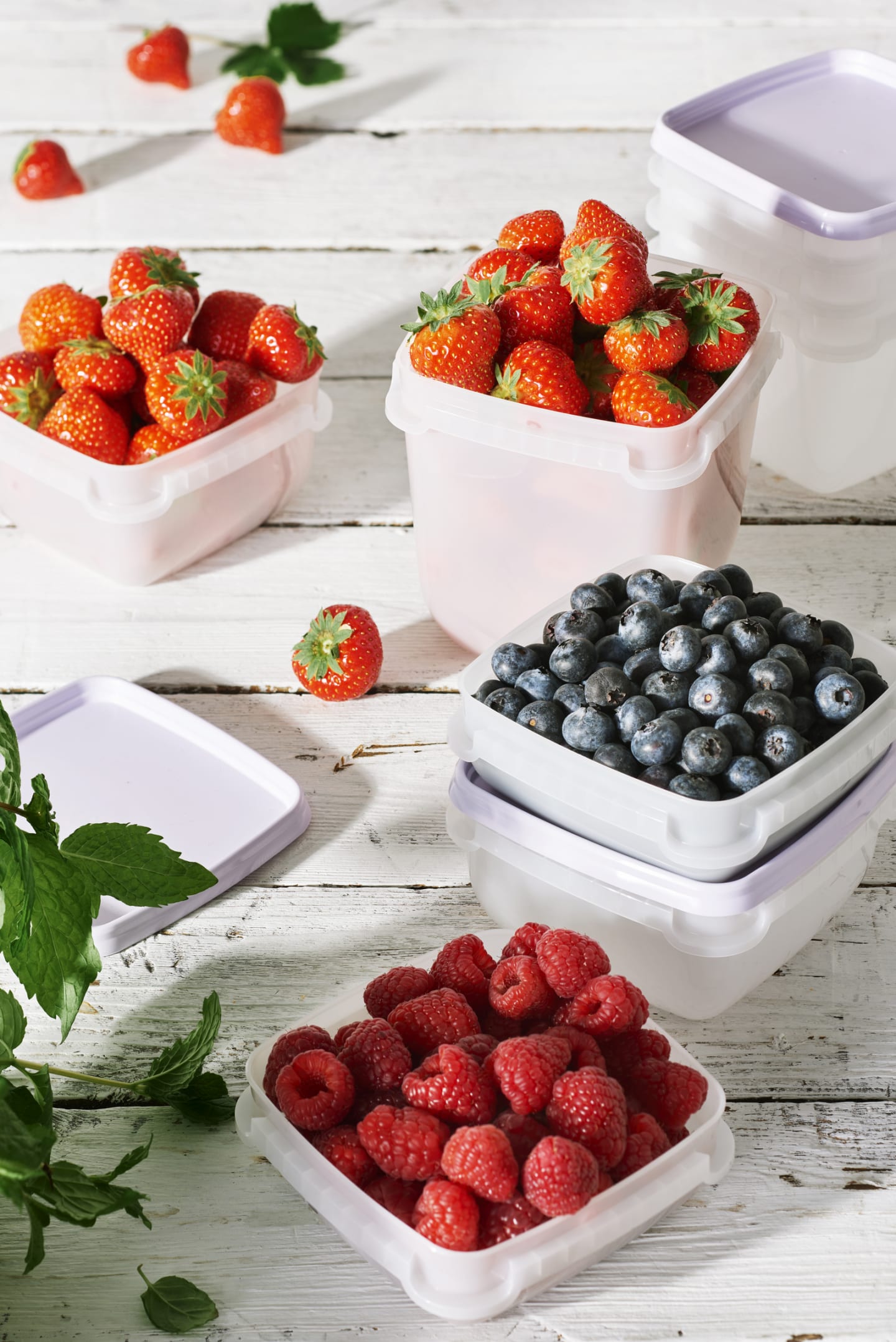Frysburk SmartStore™ Frost 6 x 0,3 L - Bild 1 av 3