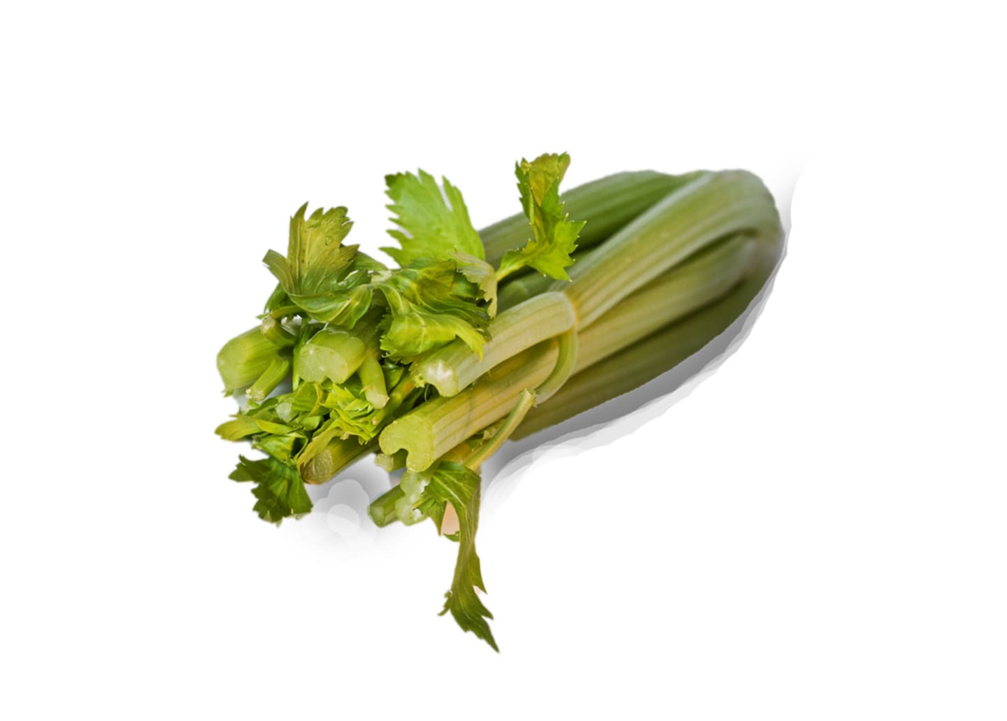 Blekselleri