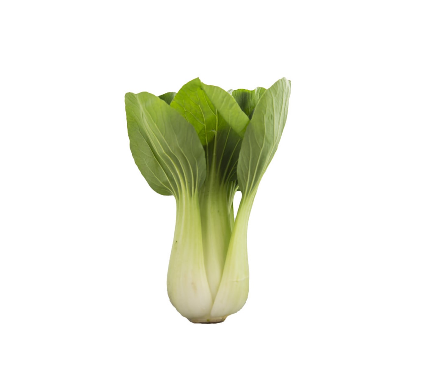 Pak choy svensk