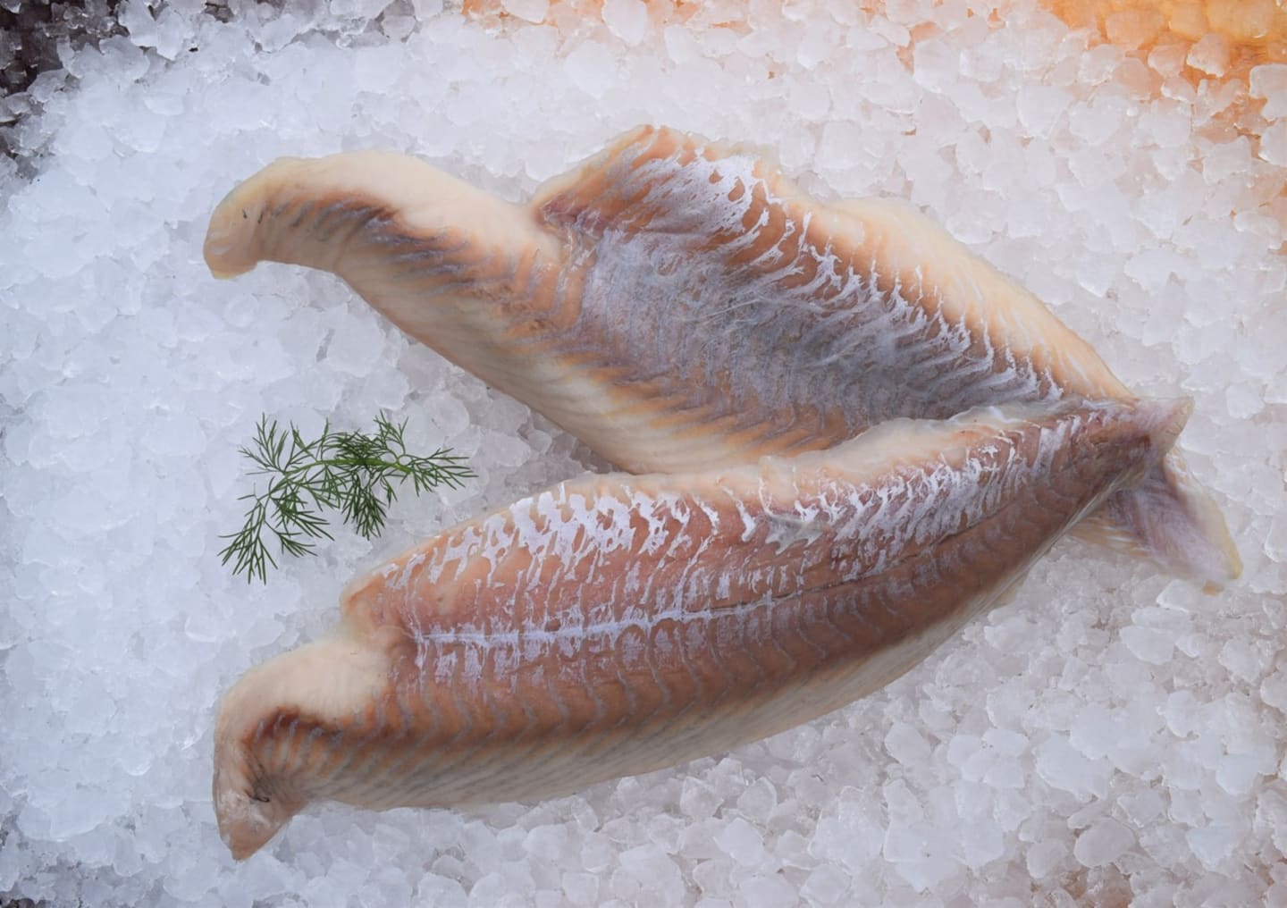 Sejfilé MSC 100-300g/4,5kg