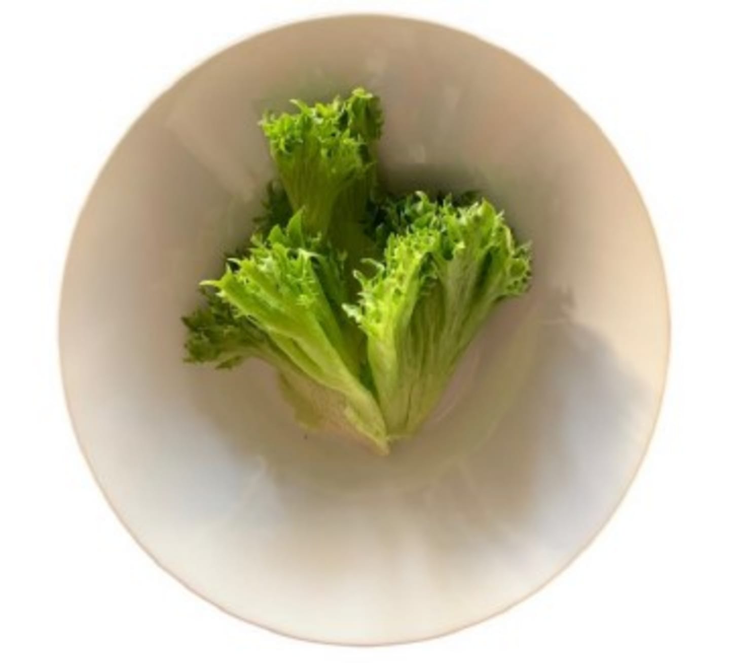 Sallad Crisp hela blad 4x500g