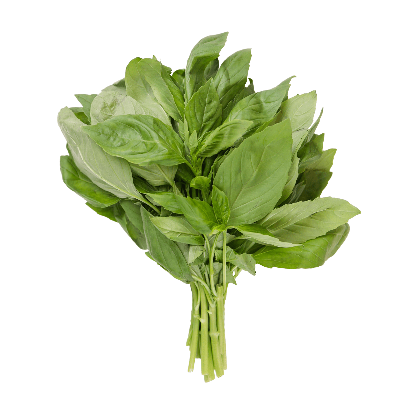 Basilika 1kg