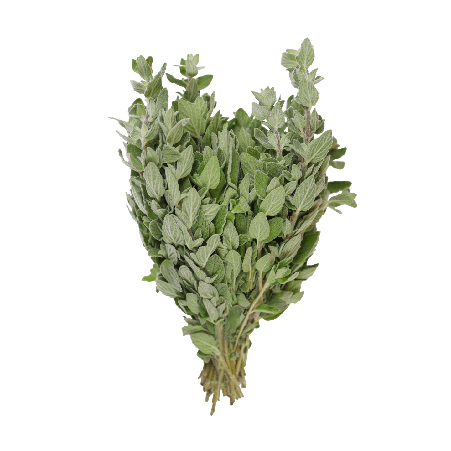 Oregano 1kg