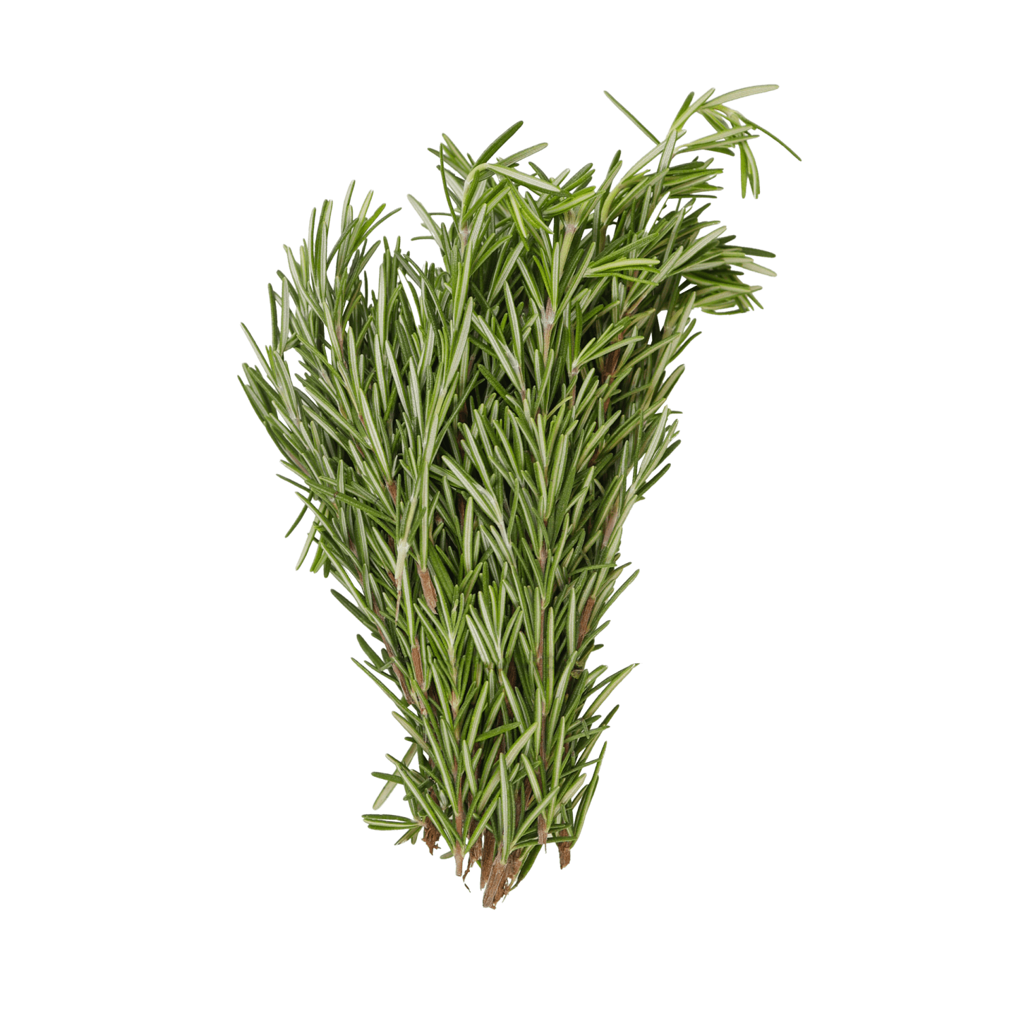 Rosmarin 1kg