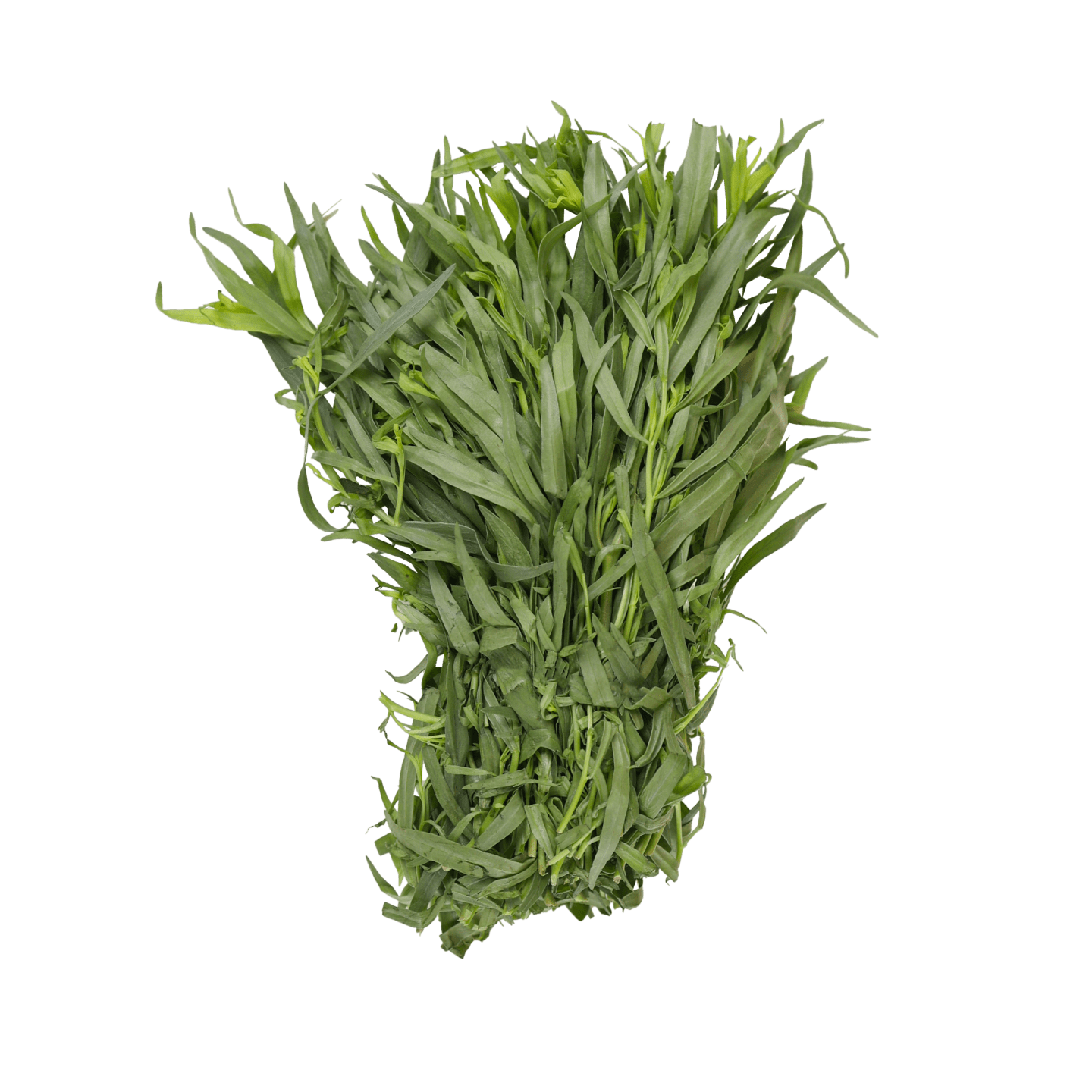 Dragon 1kg