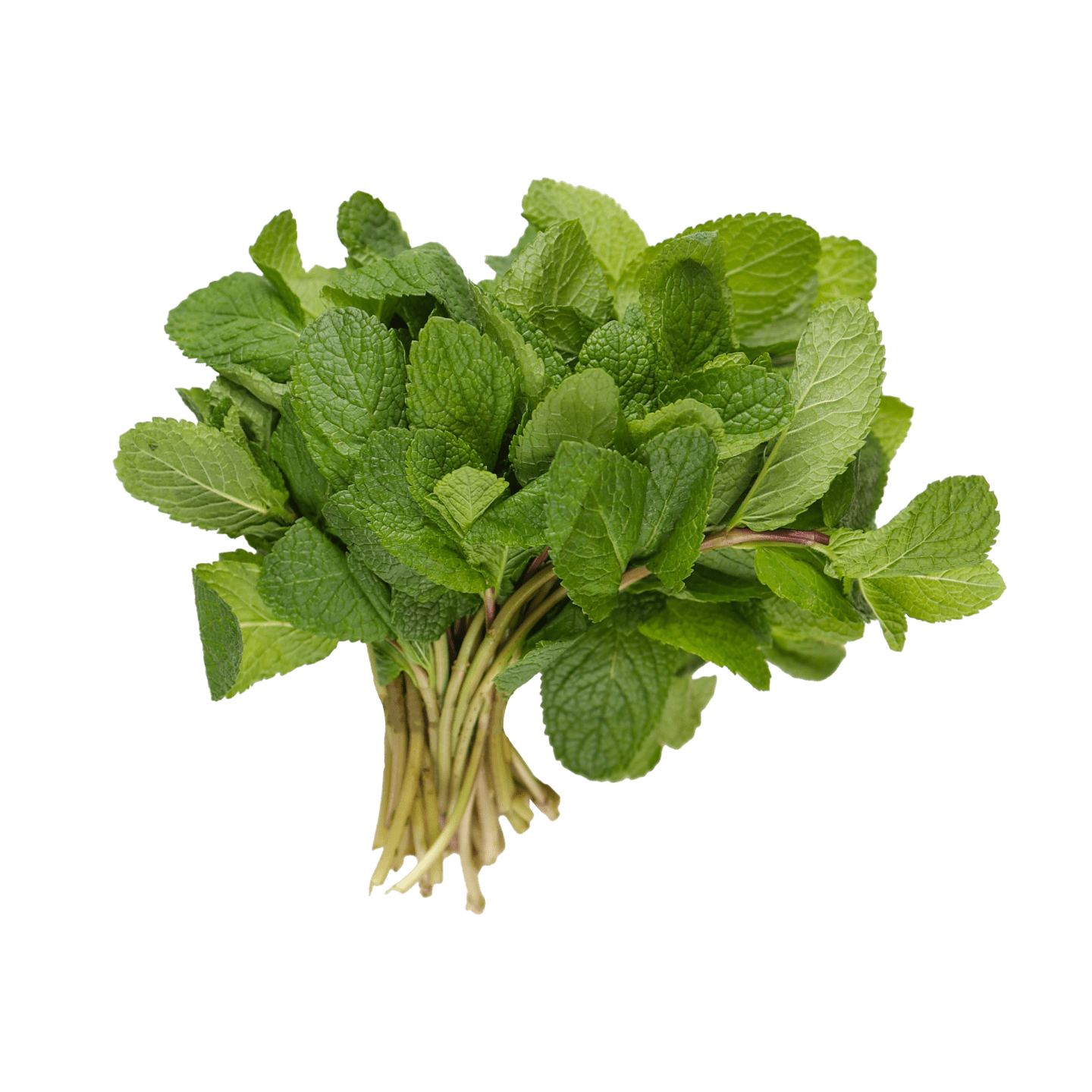 Mynta 100g