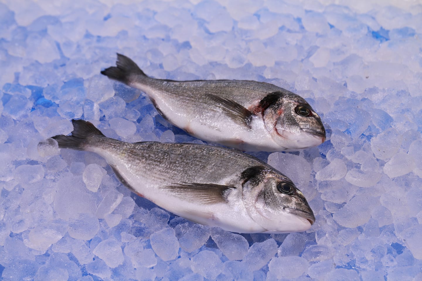 Guldsparid Seabream hel 450g