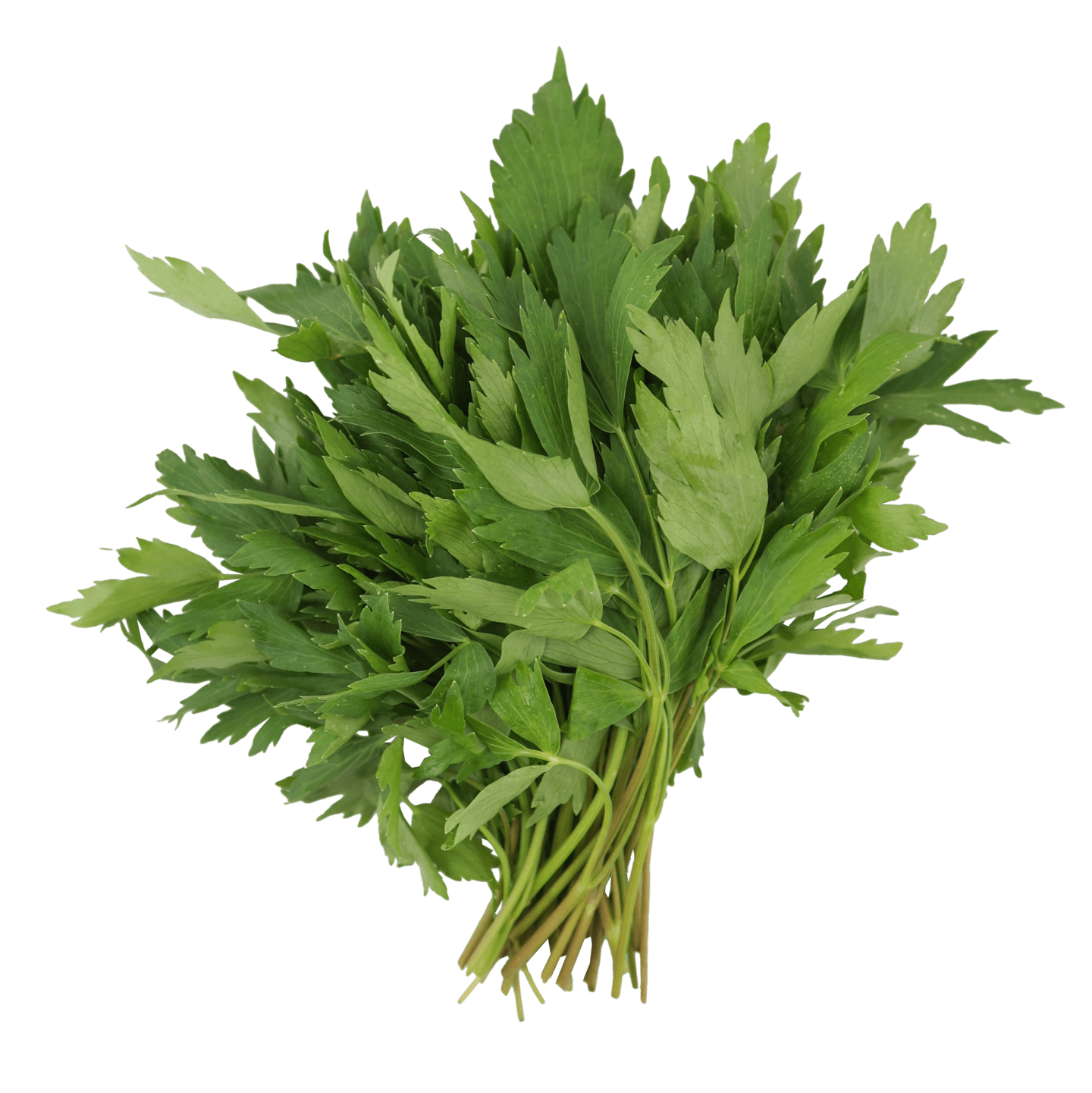 Libbsticka 1kg