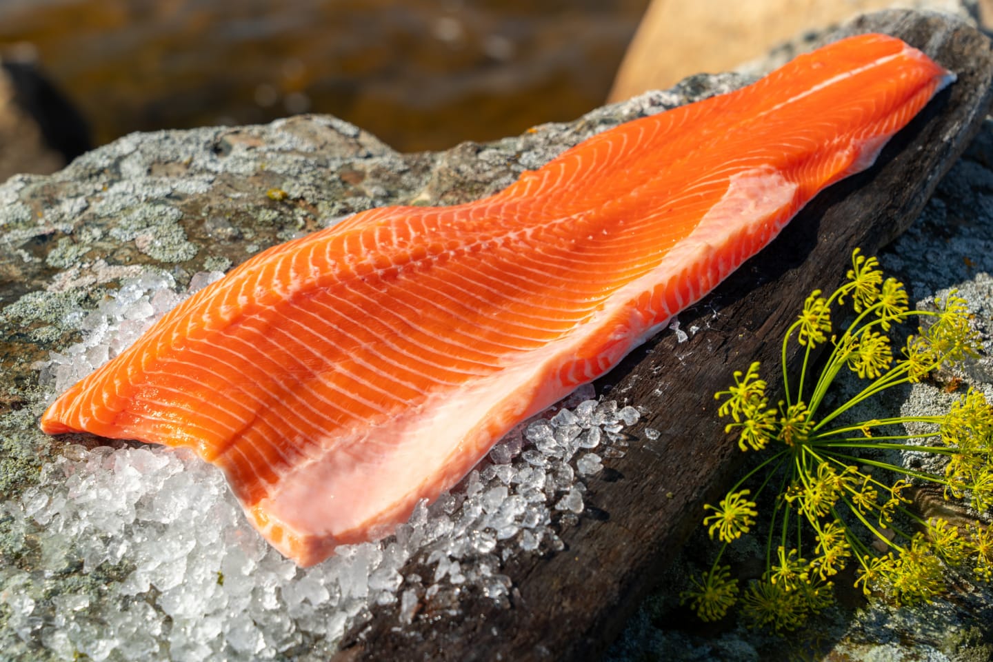 Regnbågsfilé 0,7-1,1kg