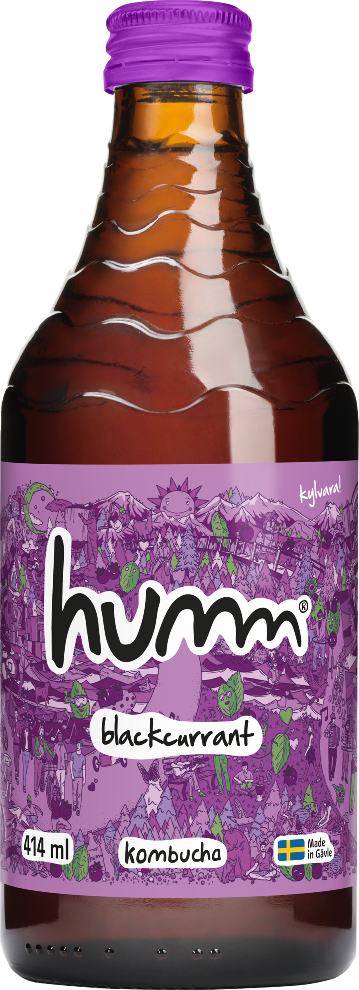 Humm Kombucha Blackcurrant 41,4cl
