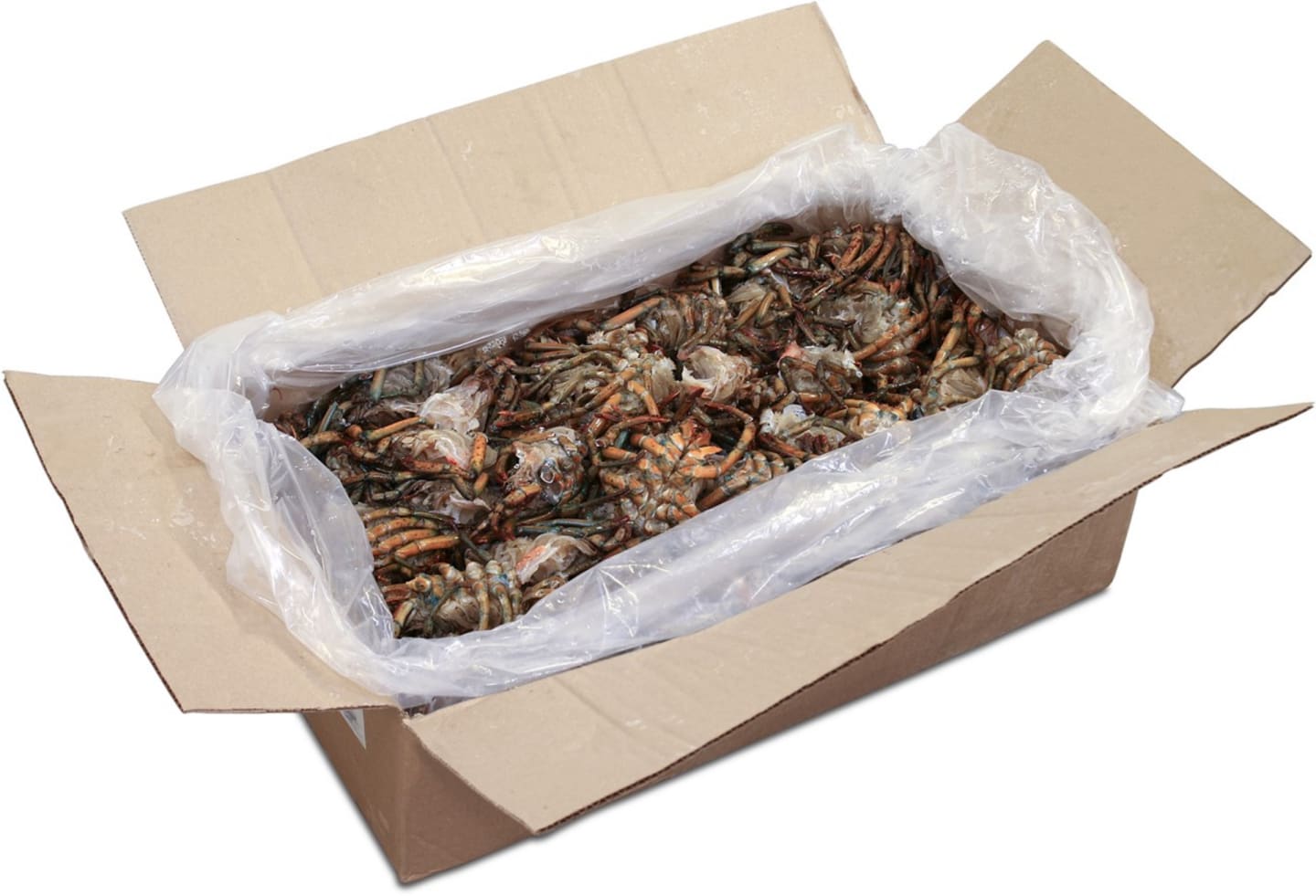 Hummerskal råa hela MSC 11,35kg - Bild 1 av 2
