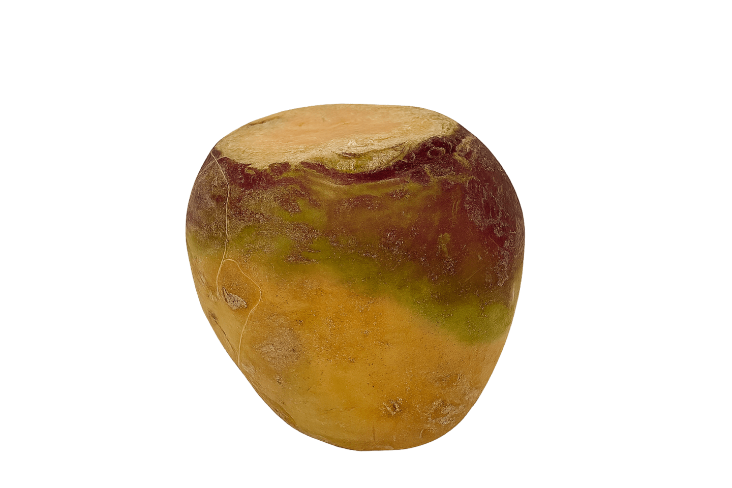 Kålrot