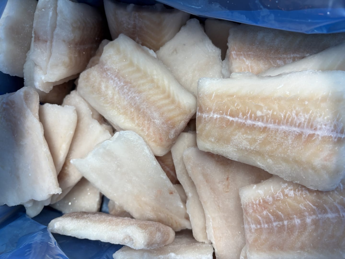 Torsktails folded BLUE MSC  90-110g/5kg
