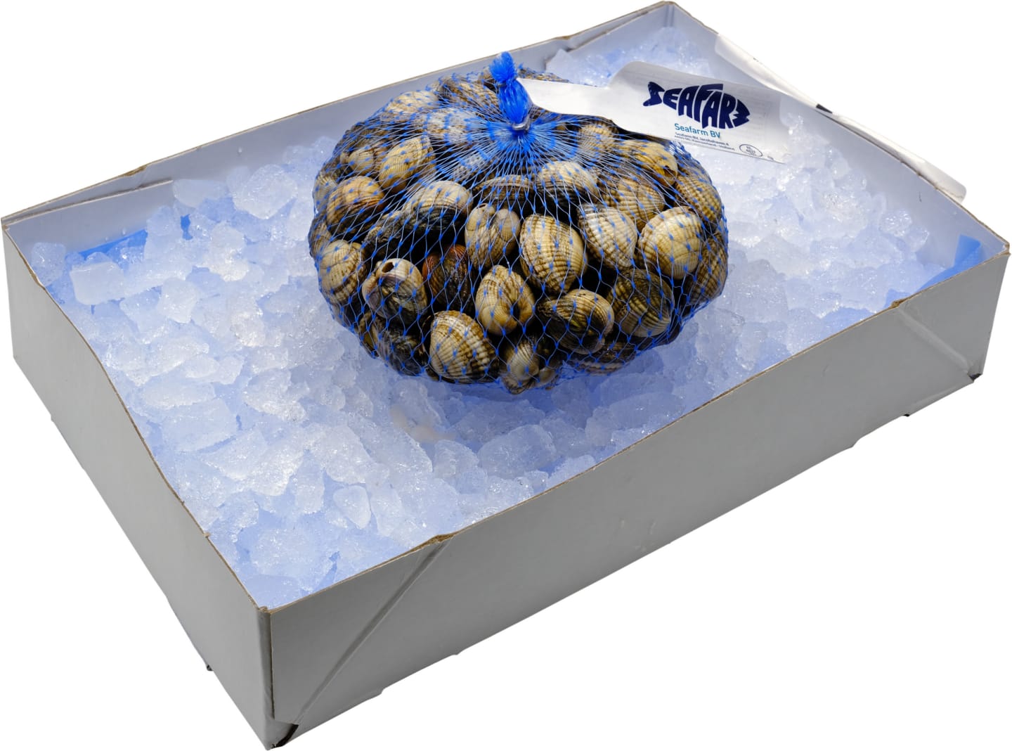 Hjärtmusslor 1kg