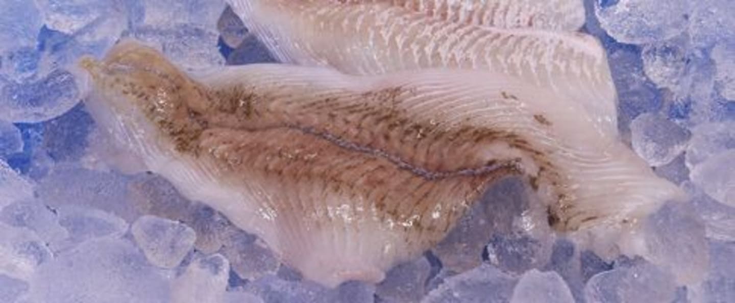 Rödspättafilé utan skinn MSC 100g