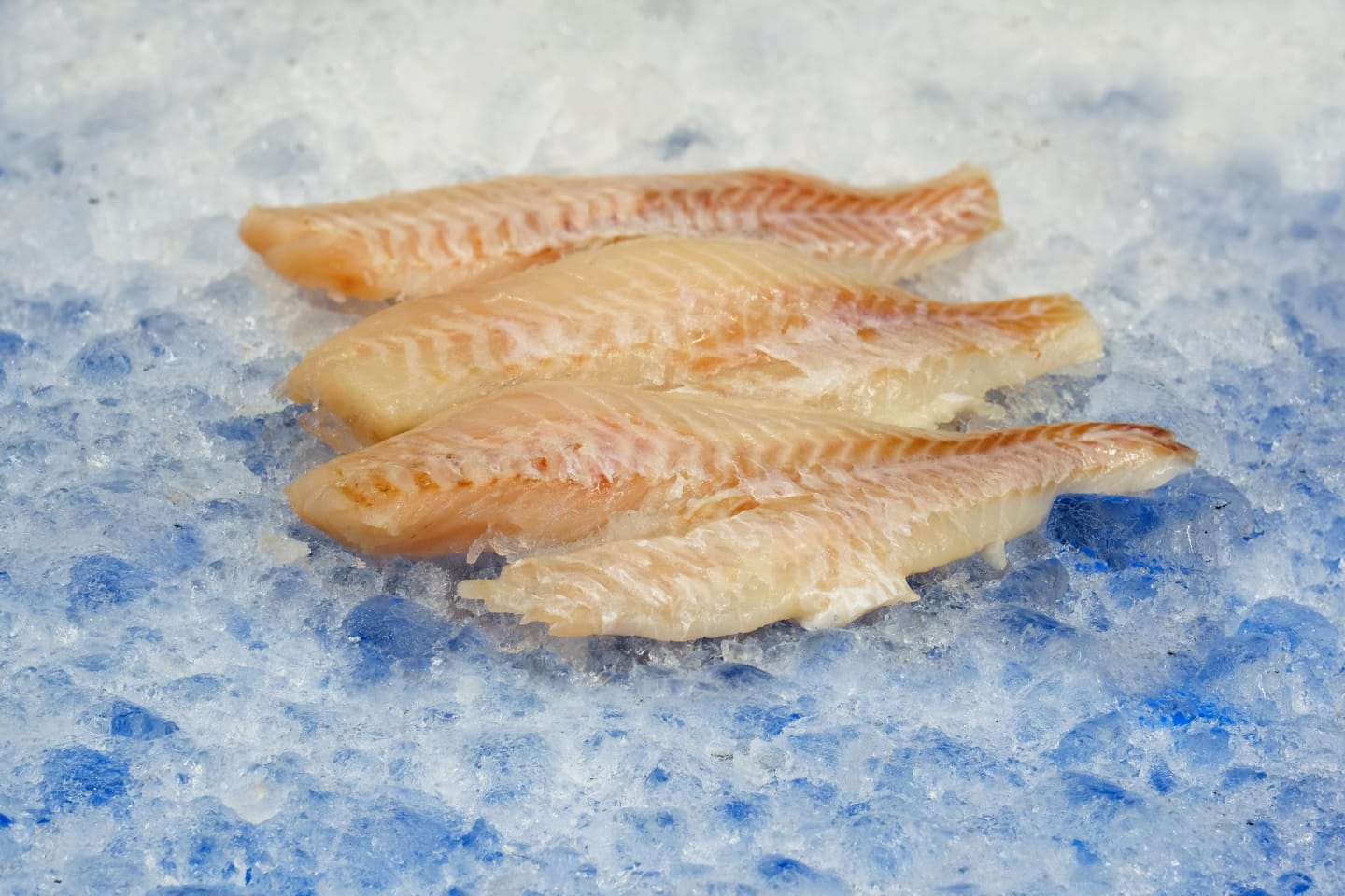 Djuphavskungsfisk BLUE MSC 80-140g/5kg - Bild 1 av 2