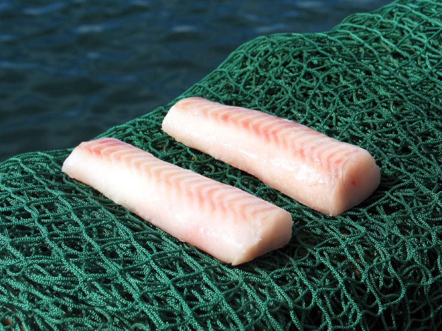 Alaska Pollock ryggfilé MSC 60-80g/5kg
