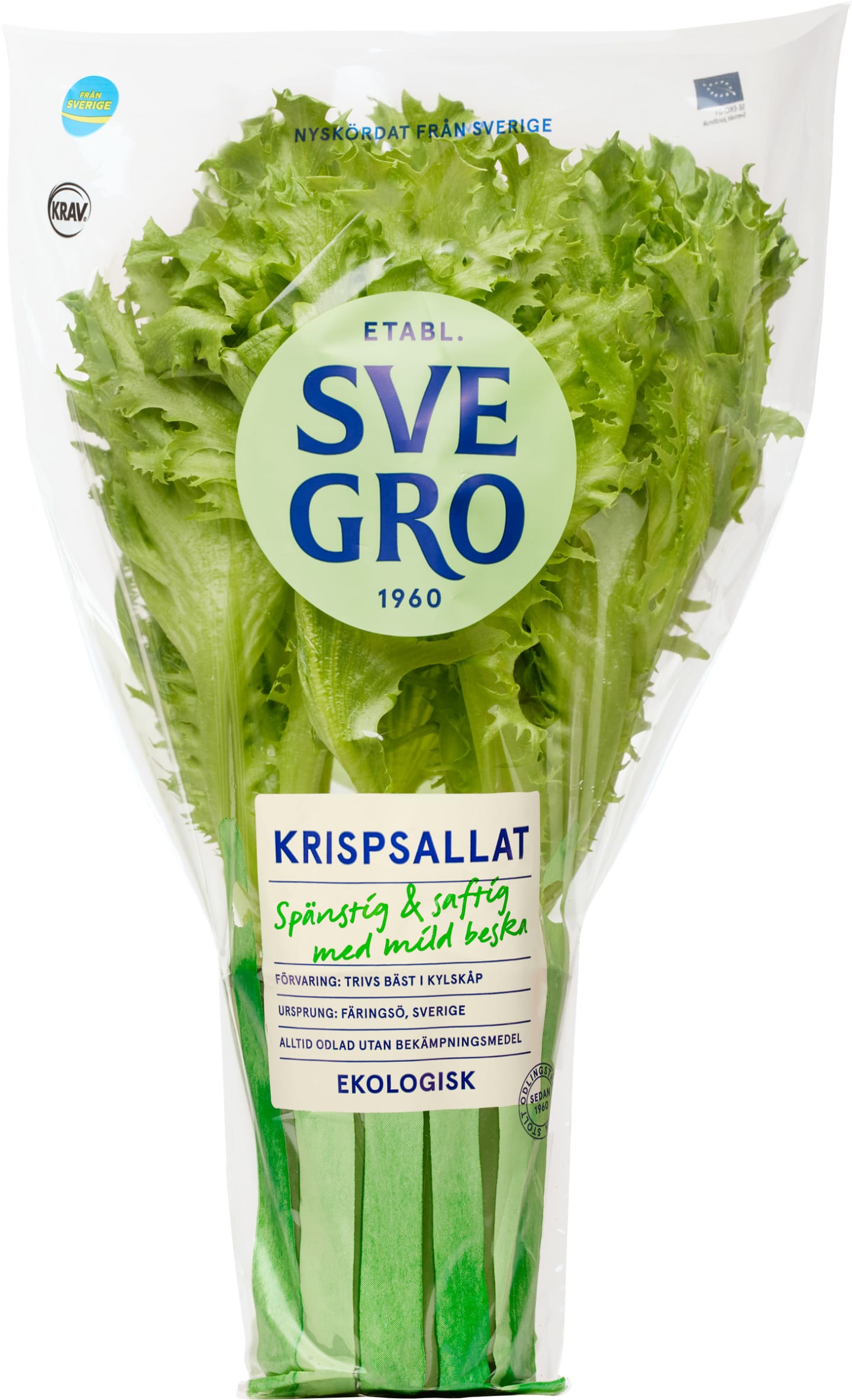 Sallad Crisp kruka