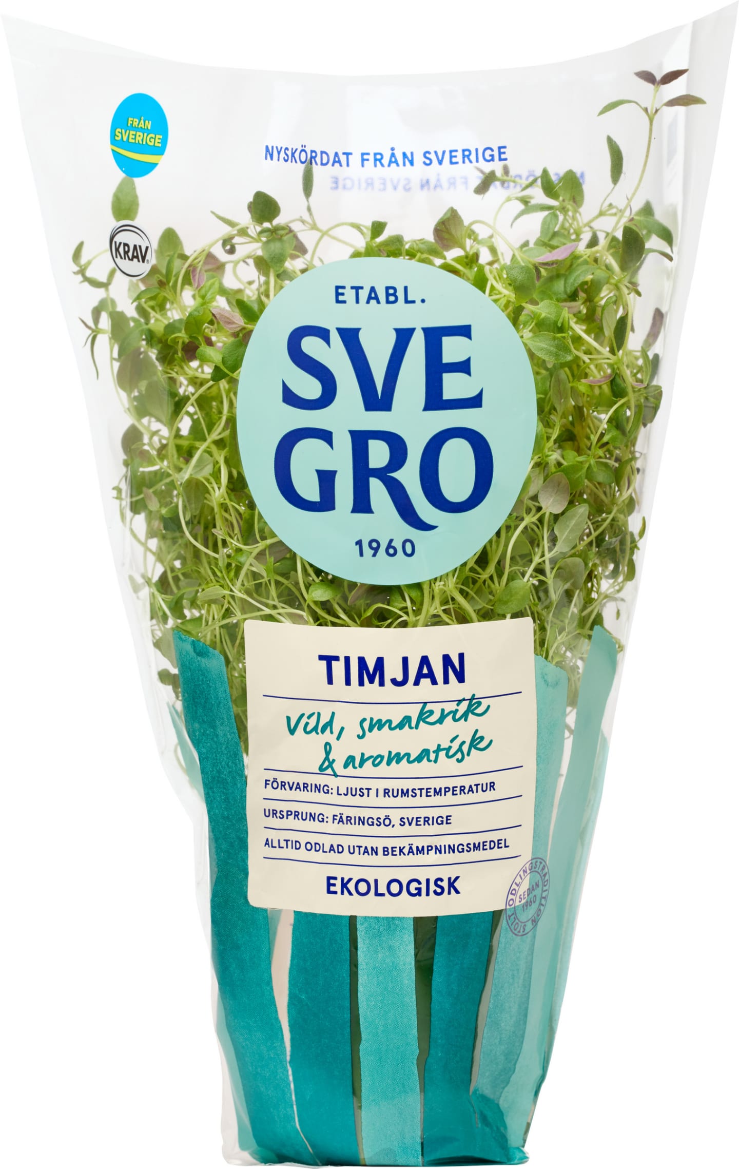 Timjan kruka
