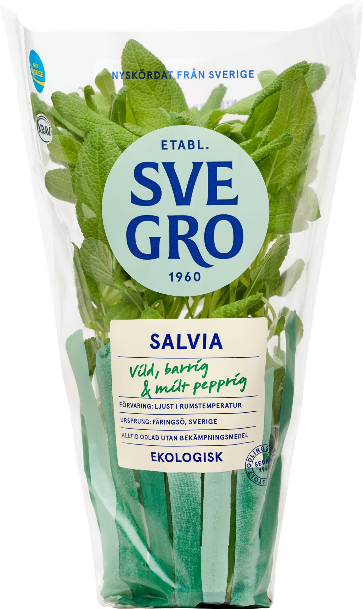 Salvia kruka