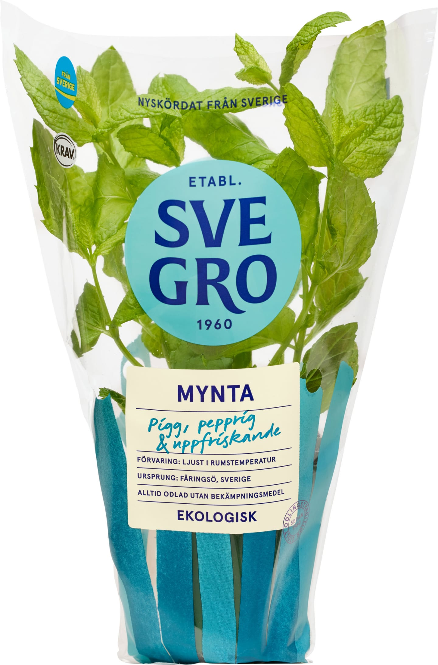 Mynta kruka