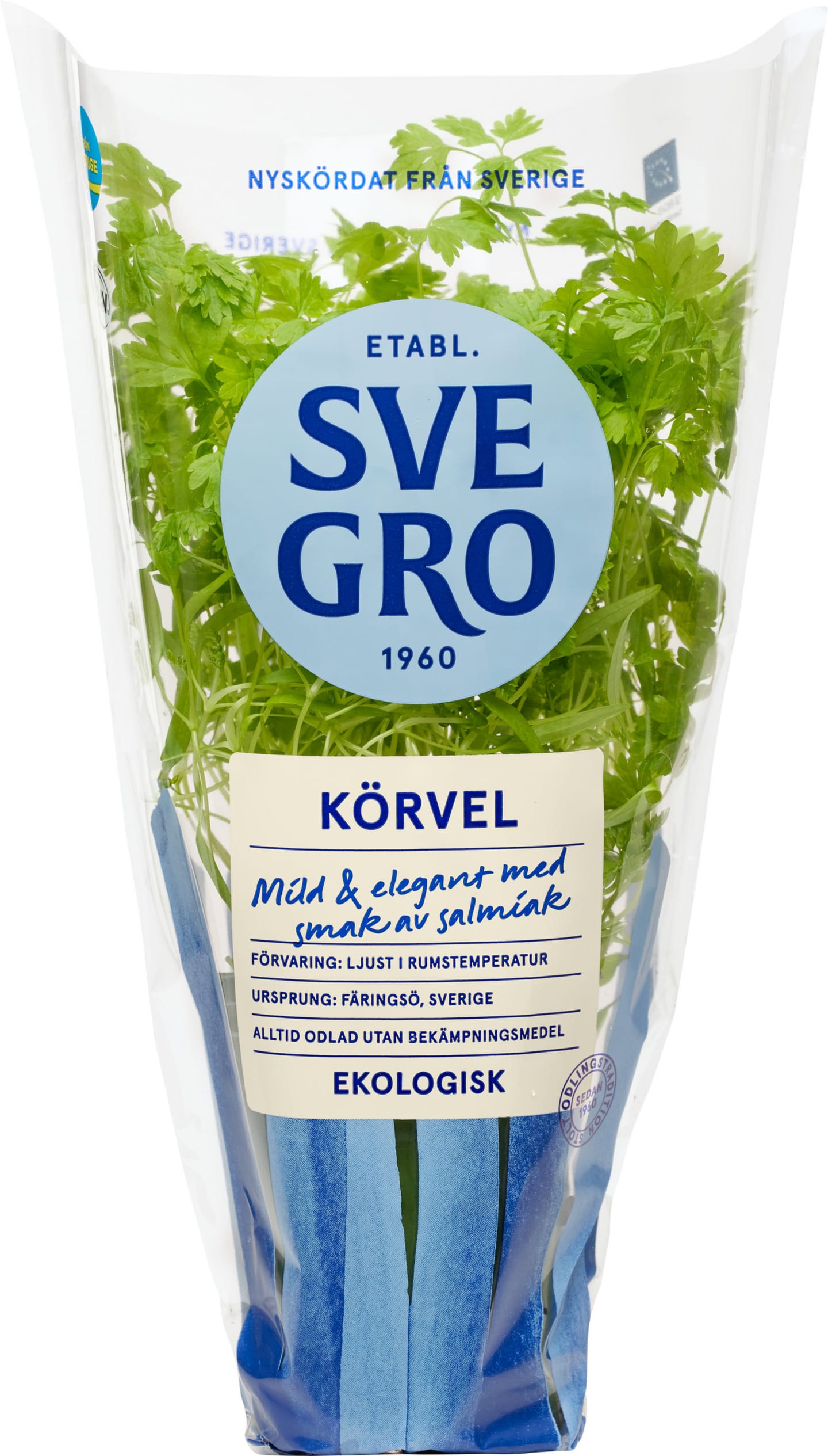 Körvel kruka