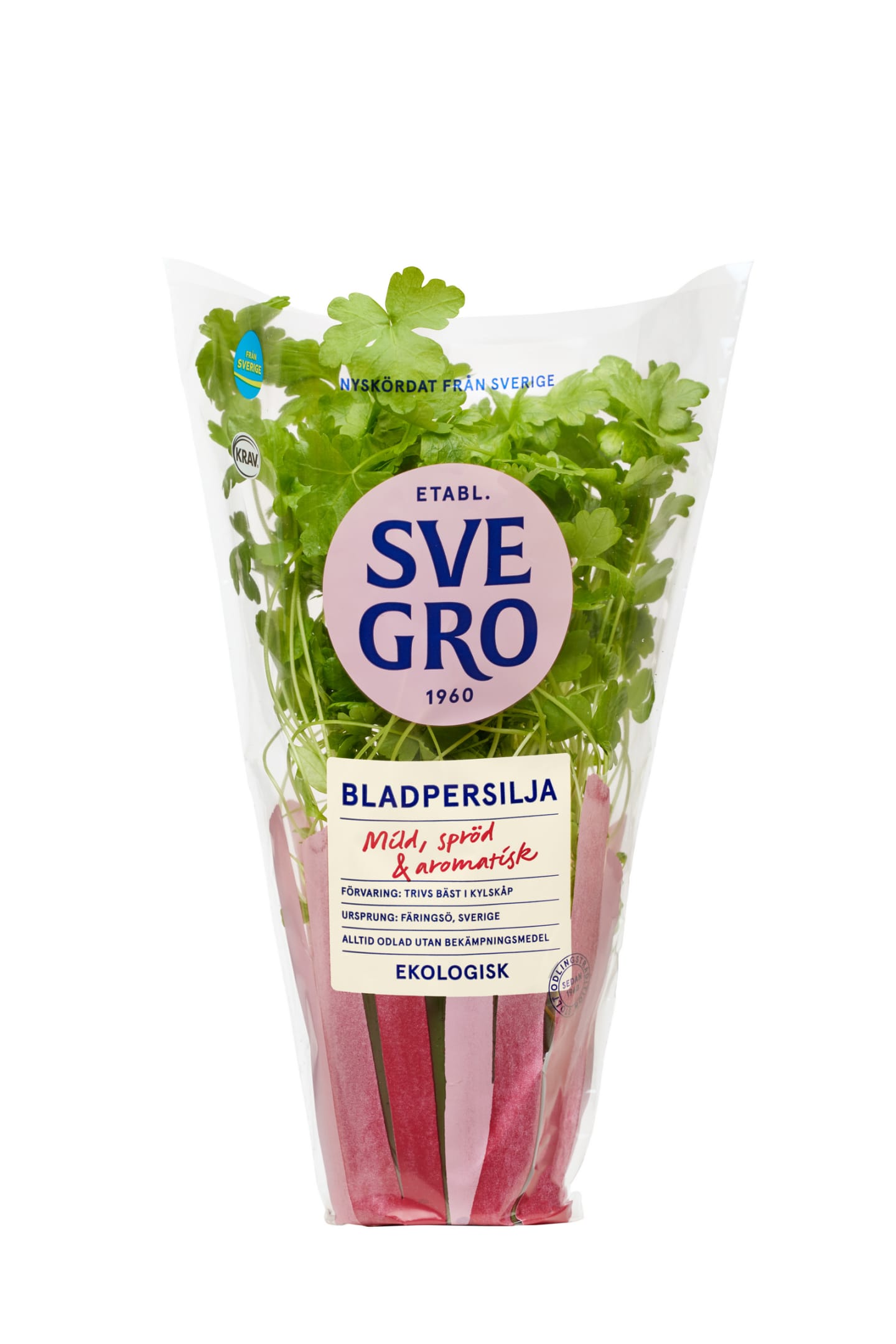 Bladpersilja kruka