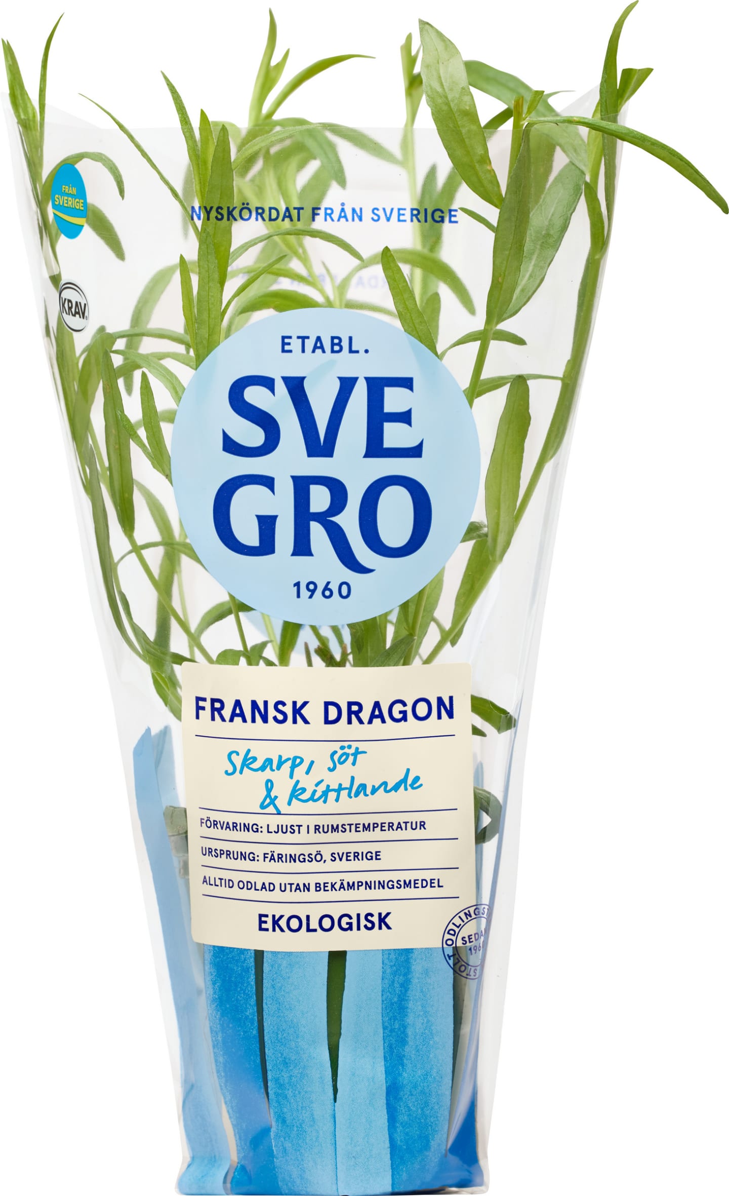 Dragon kruka