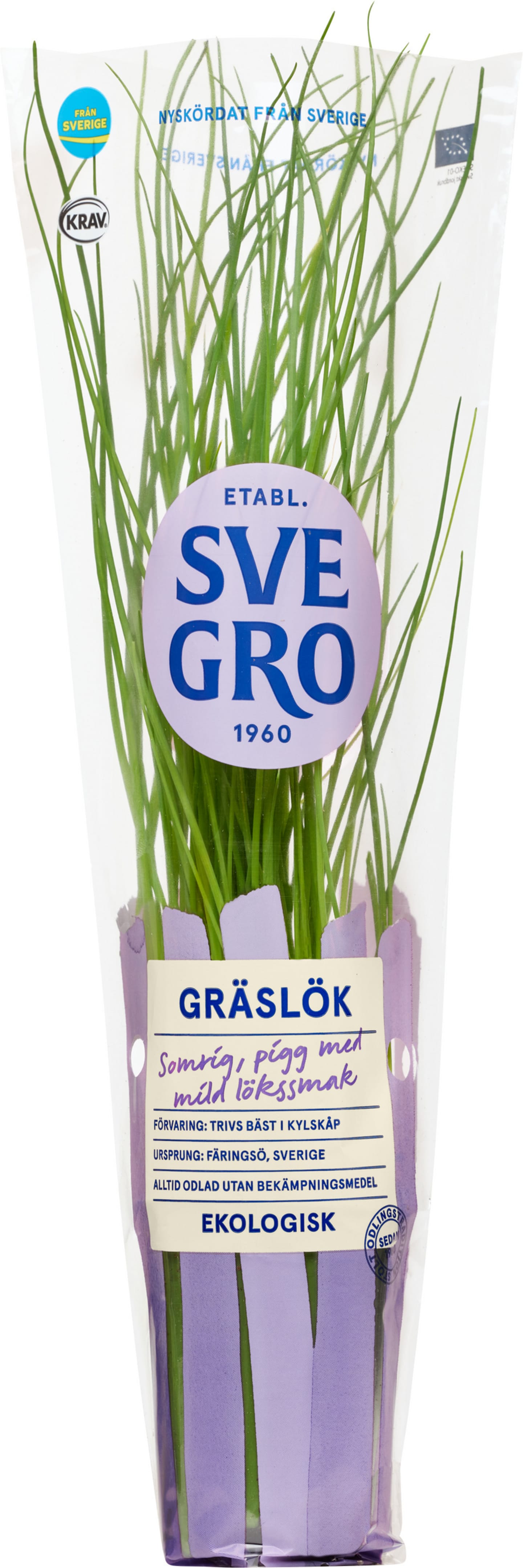Gräslök kruka